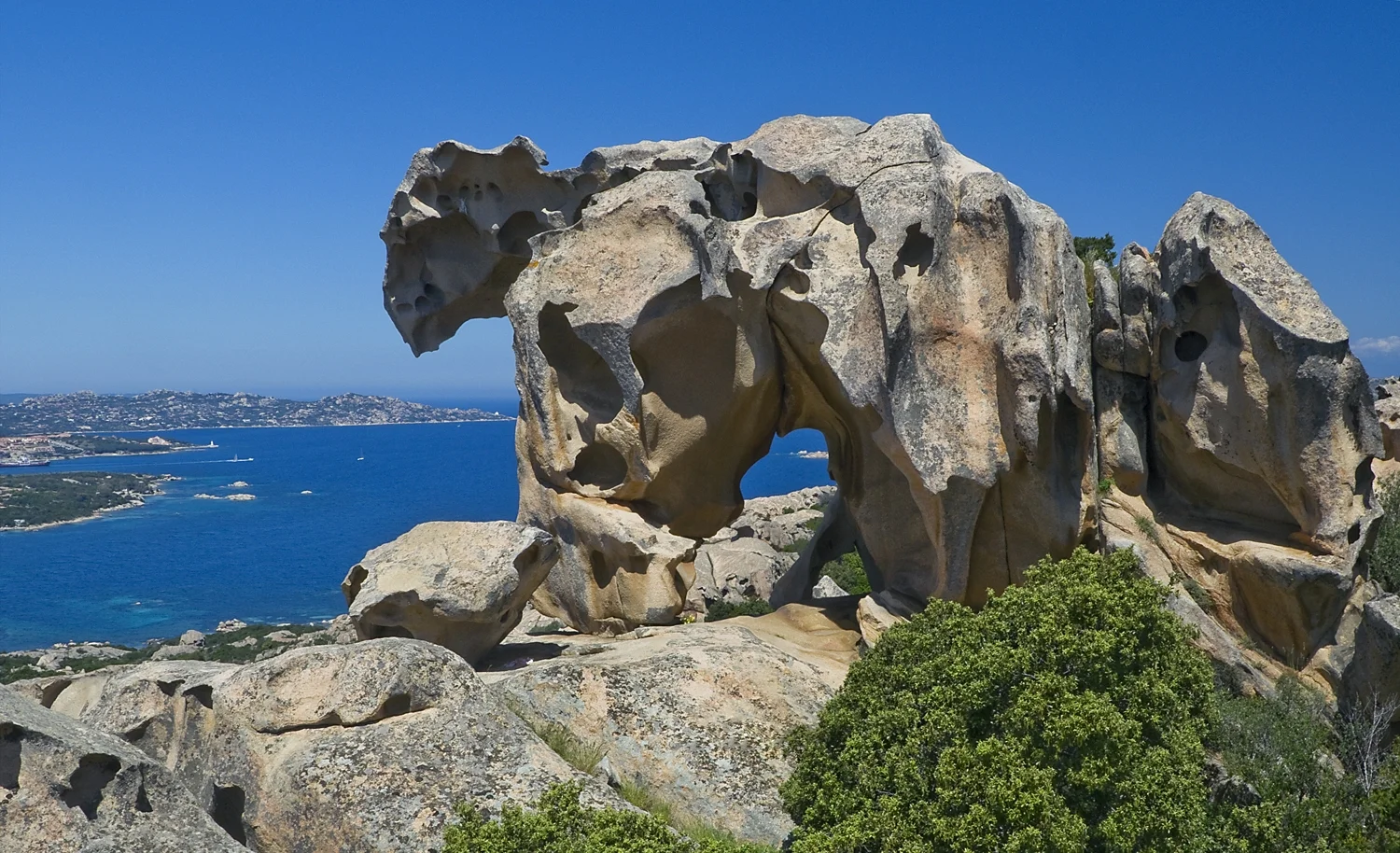 Natural sculpture of a rock resembling a bear, overlooking the sea