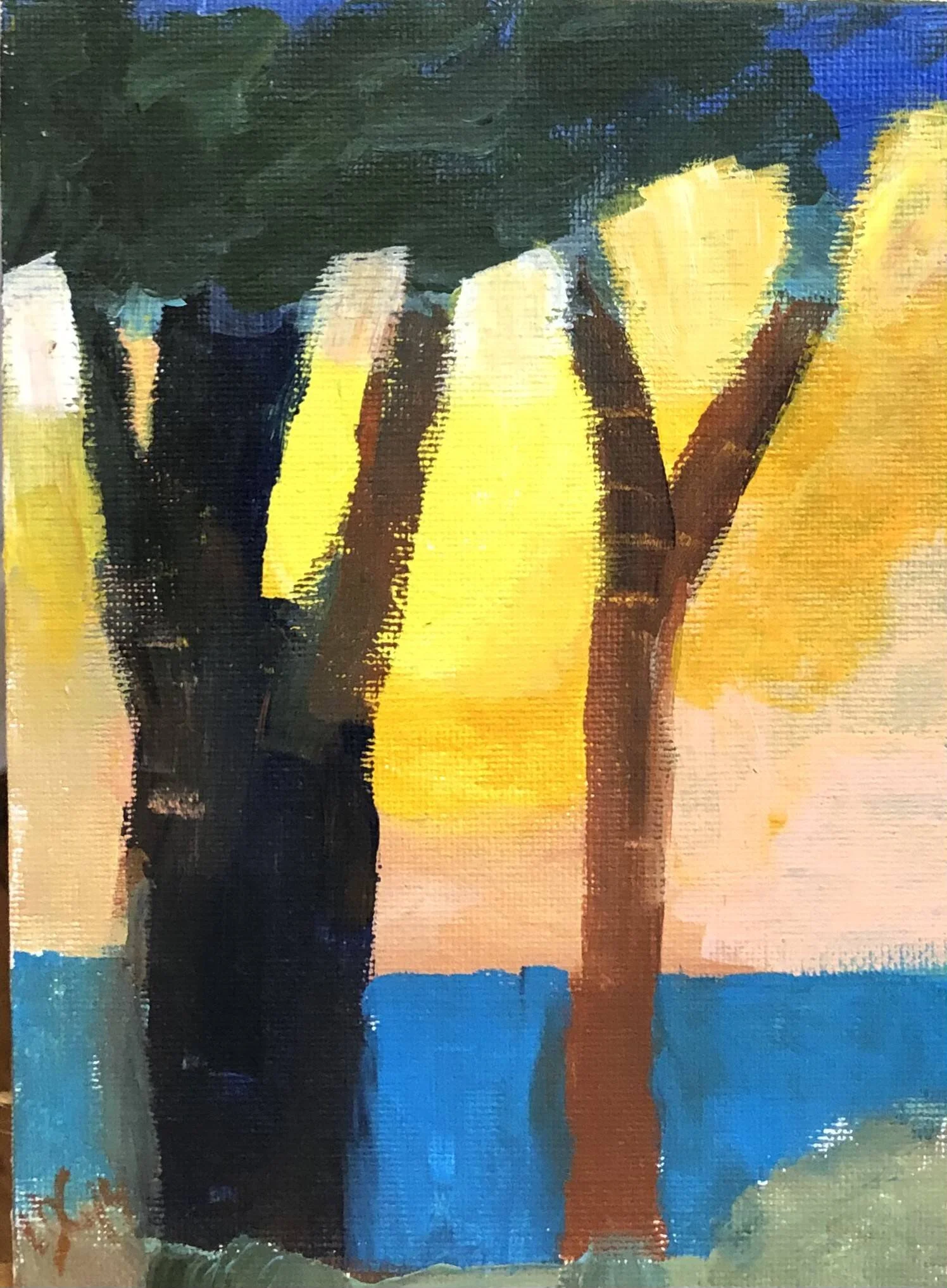 Small scape #3