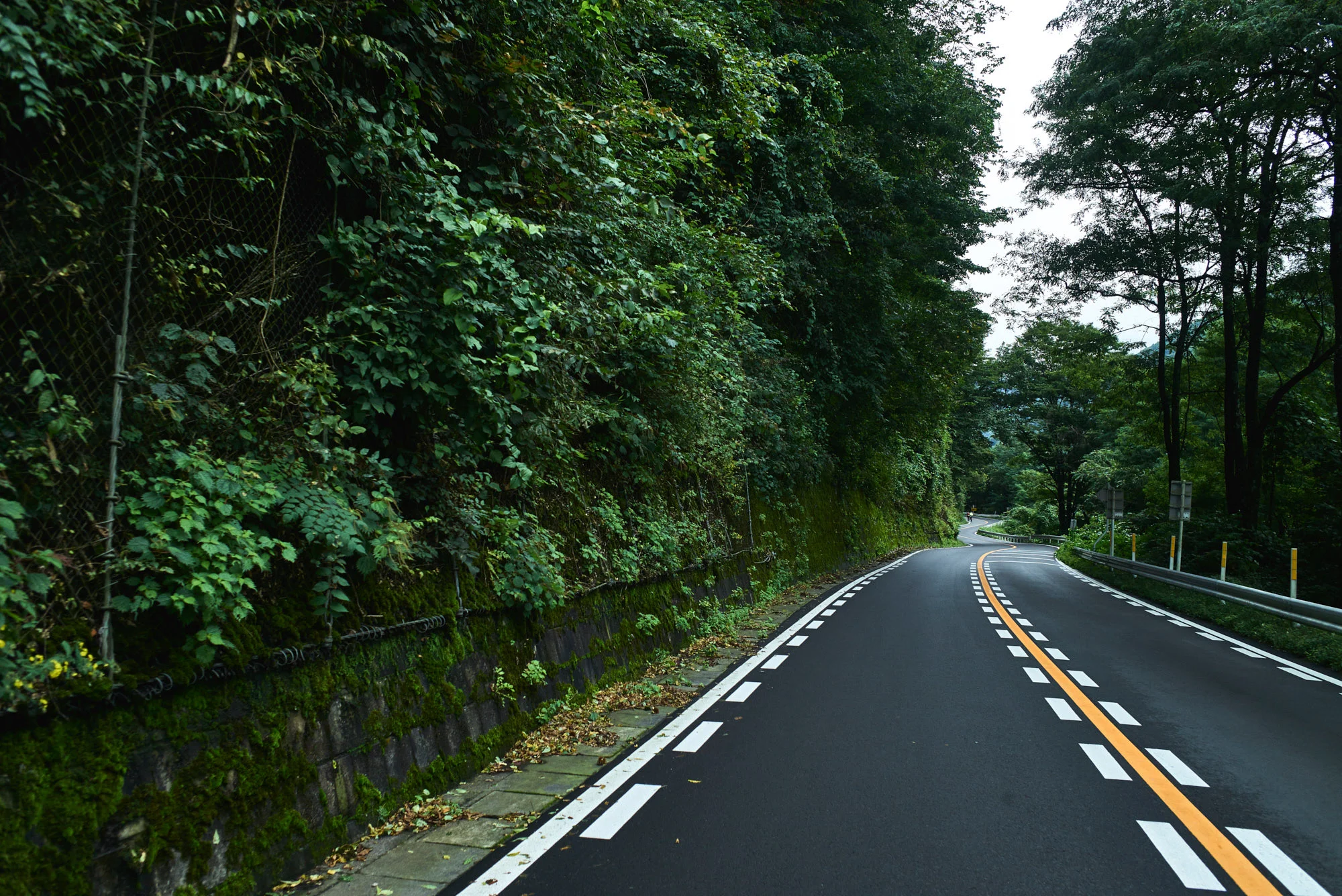 the japanese odyssey