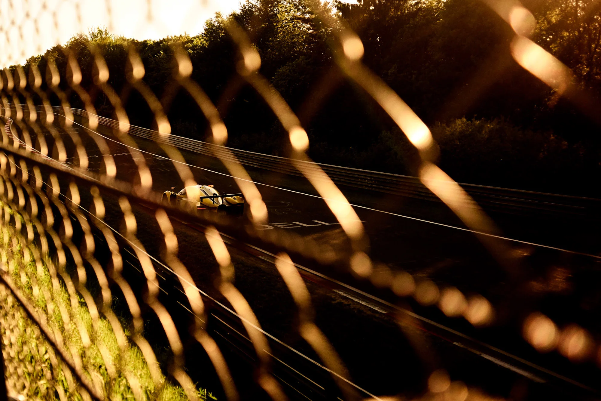 24h nordschleife x SCG