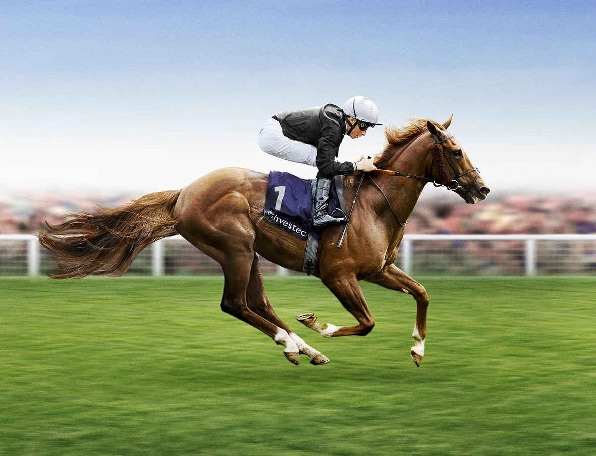 Derby 4 Horse comp no girl 96S DEET.jpg