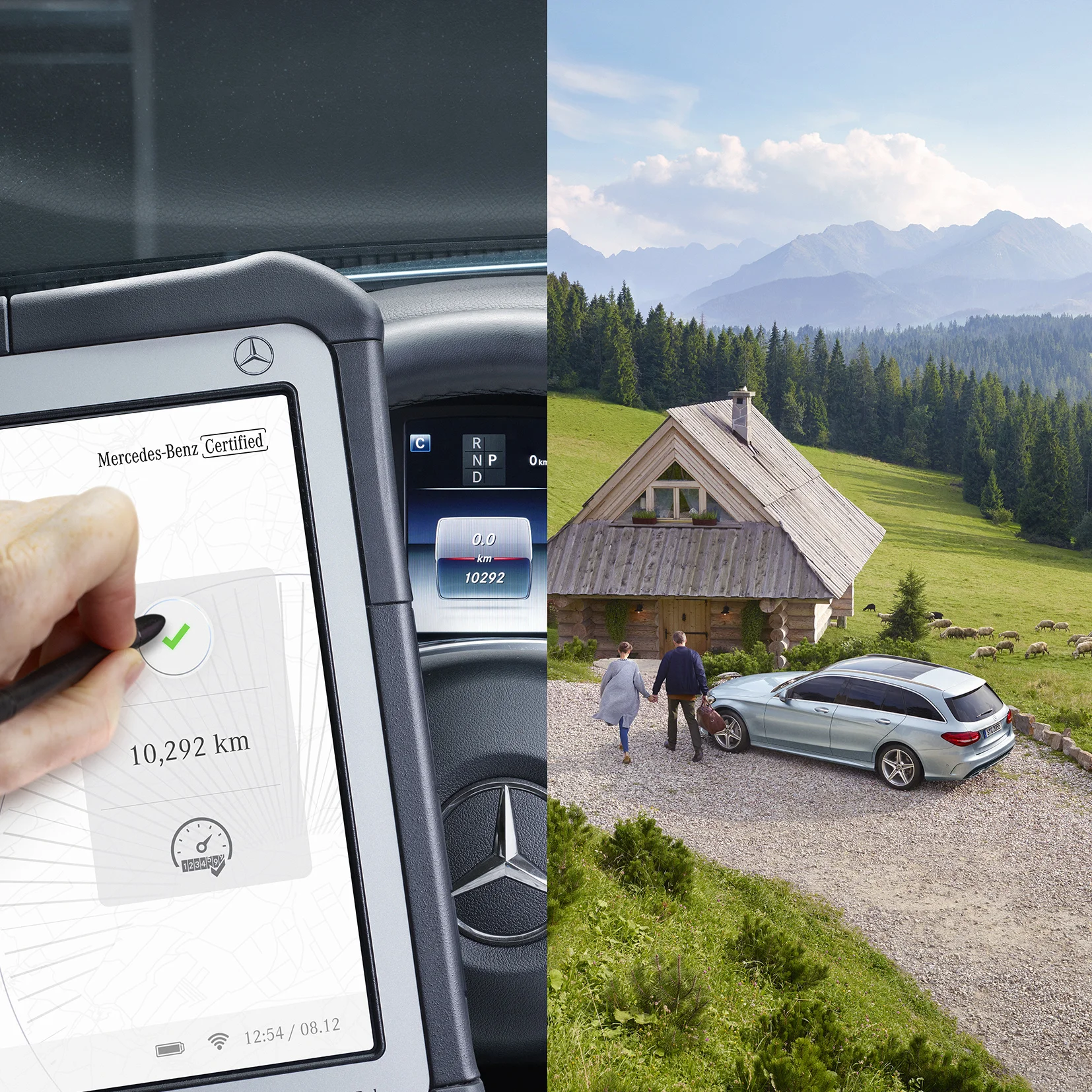 Mercedes Split Cabin Motif SIMP_V4.jpg