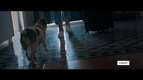 Away - The Move