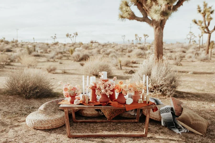 STYLEDYOU QUIGLEY JOSHUA TREE-33.jpg