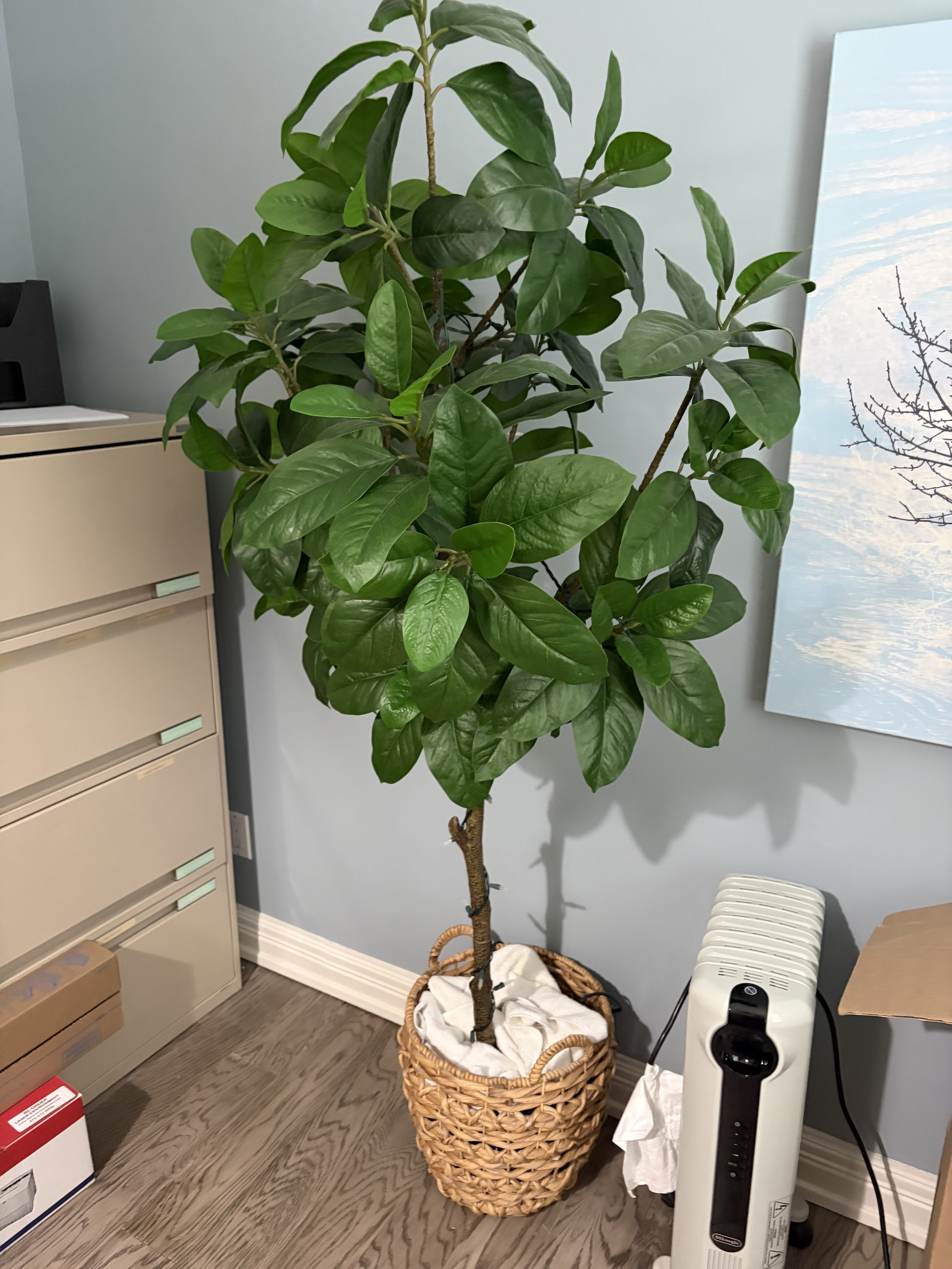 Faux House Plant