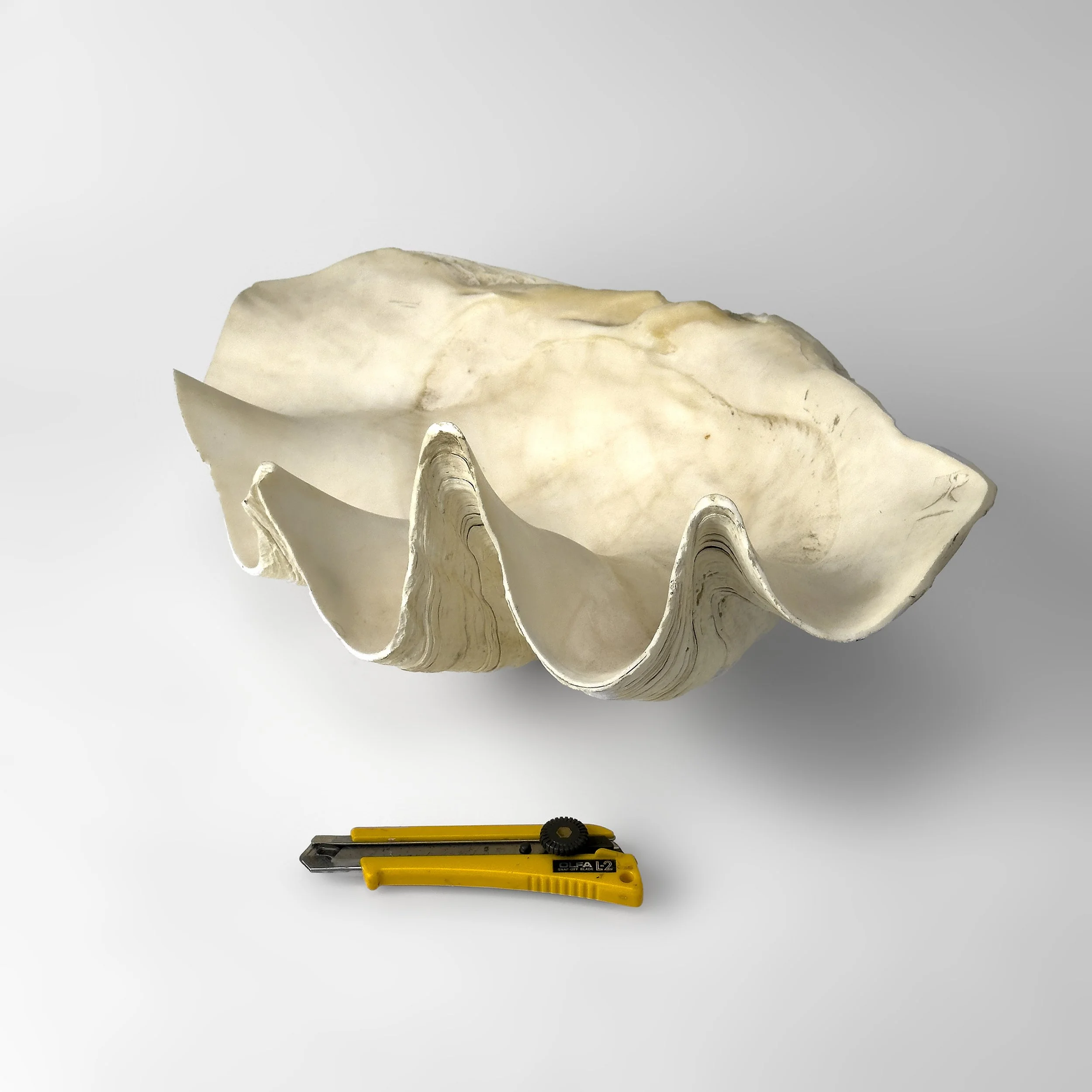 RUSSEL_HILL_0383.jpg