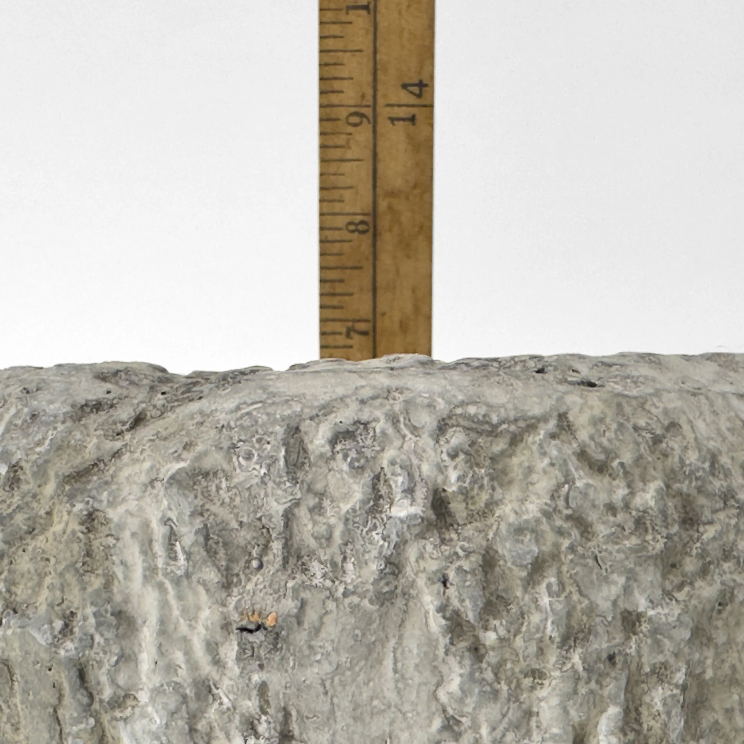 RUSSEL_HILL_0438.jpg