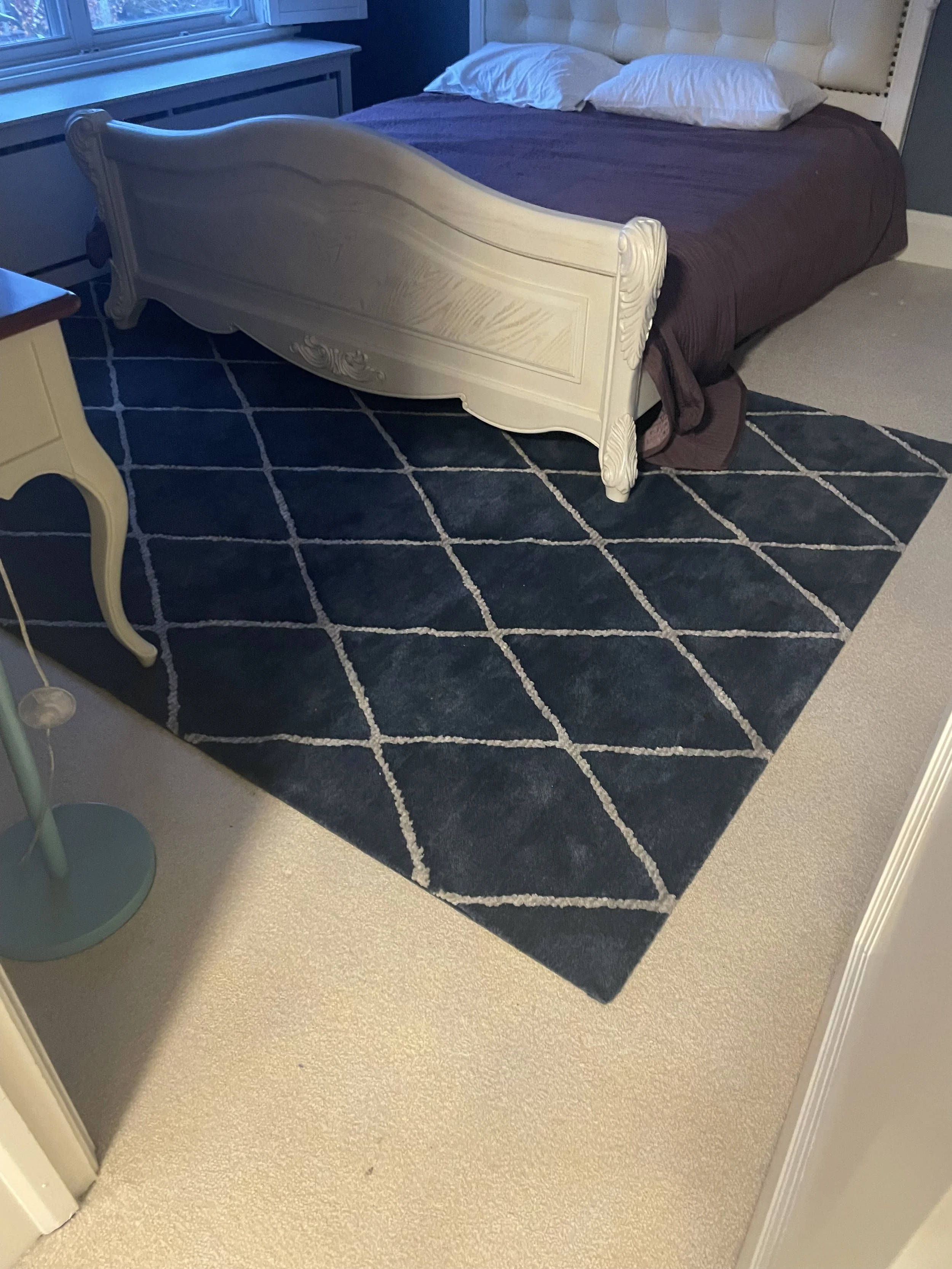 Blue Carpet 7 x 10 $75