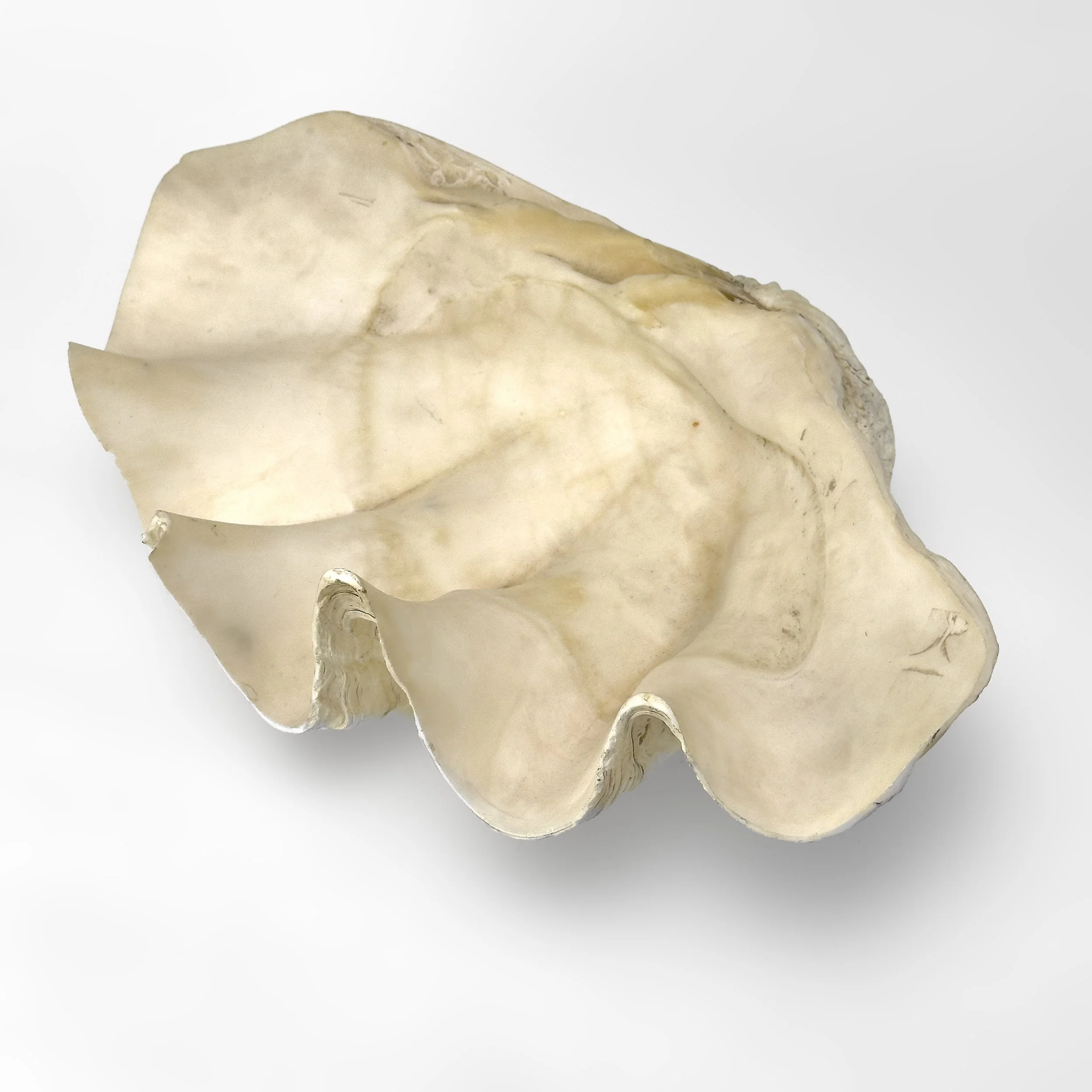 RUSSEL_HILL_0382.jpg