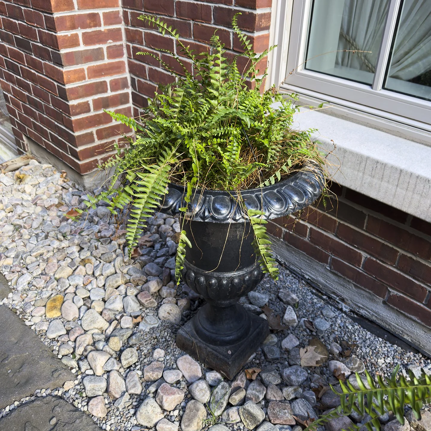 HALIBURTON_0583.jpg