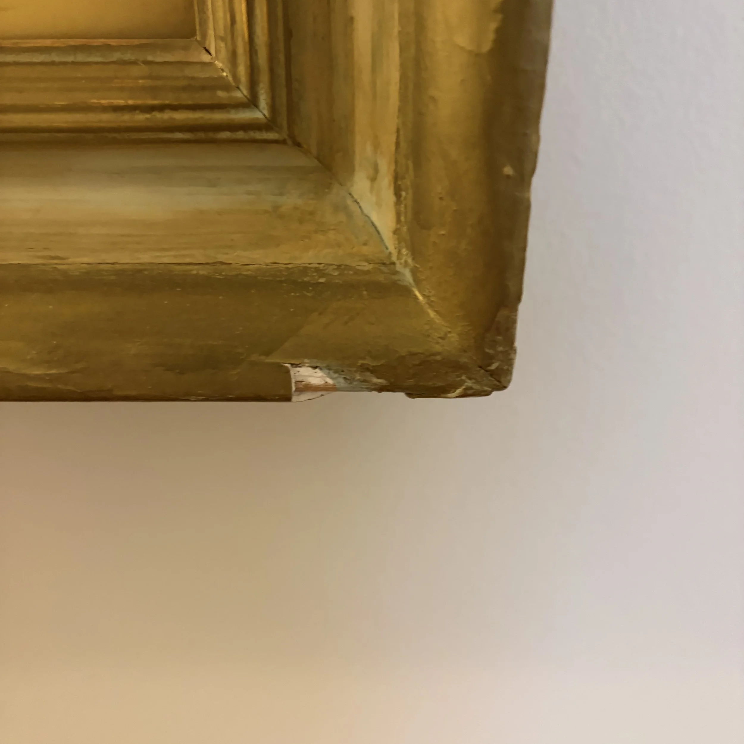 IMG_5280.jpeg