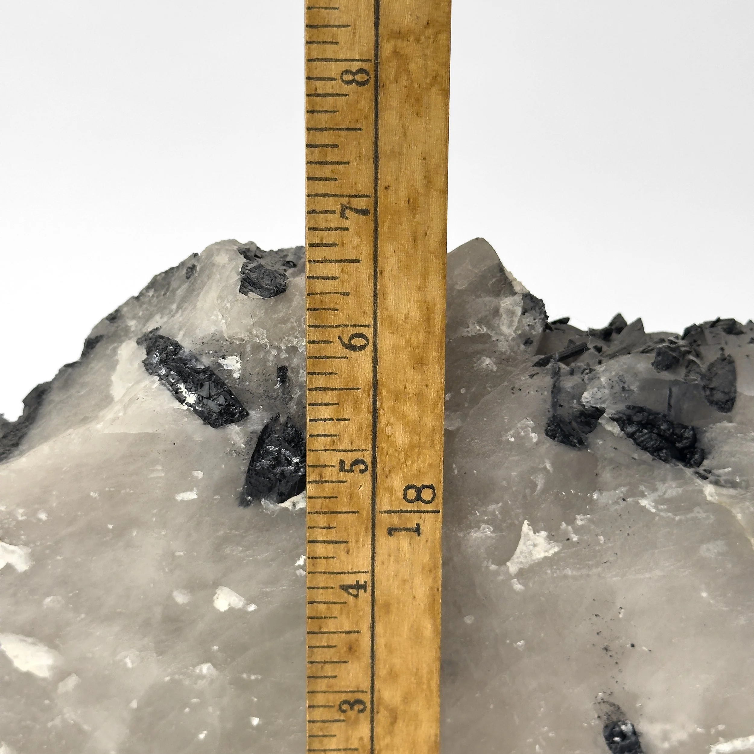 RUSSEL_HILL_0355.jpg