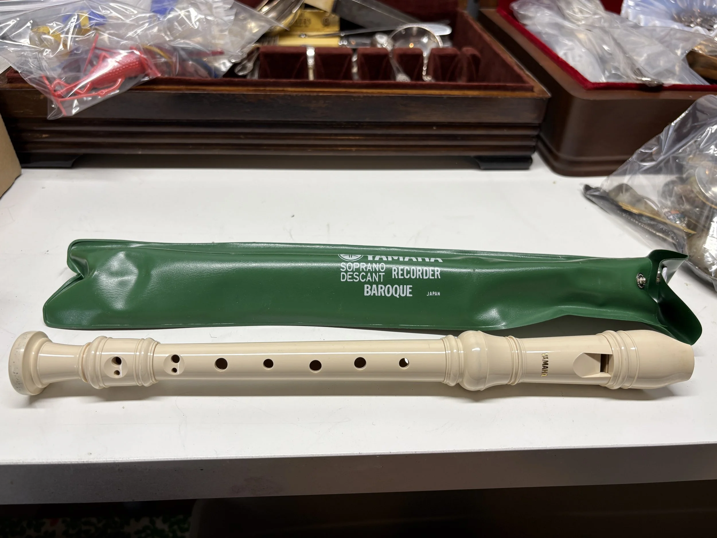 Premium Soprano Recorder with Protective Case