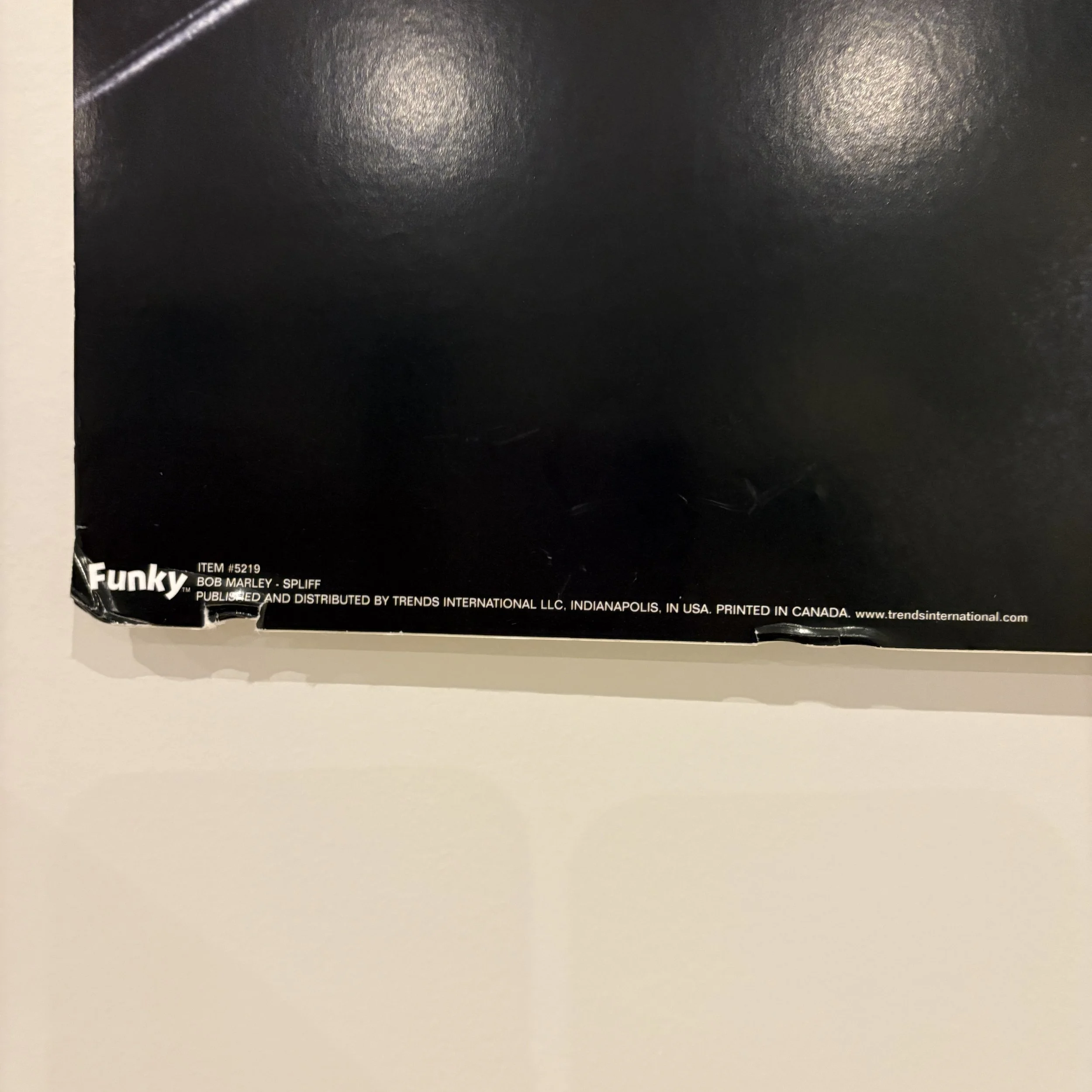 IMG_3197.jpeg