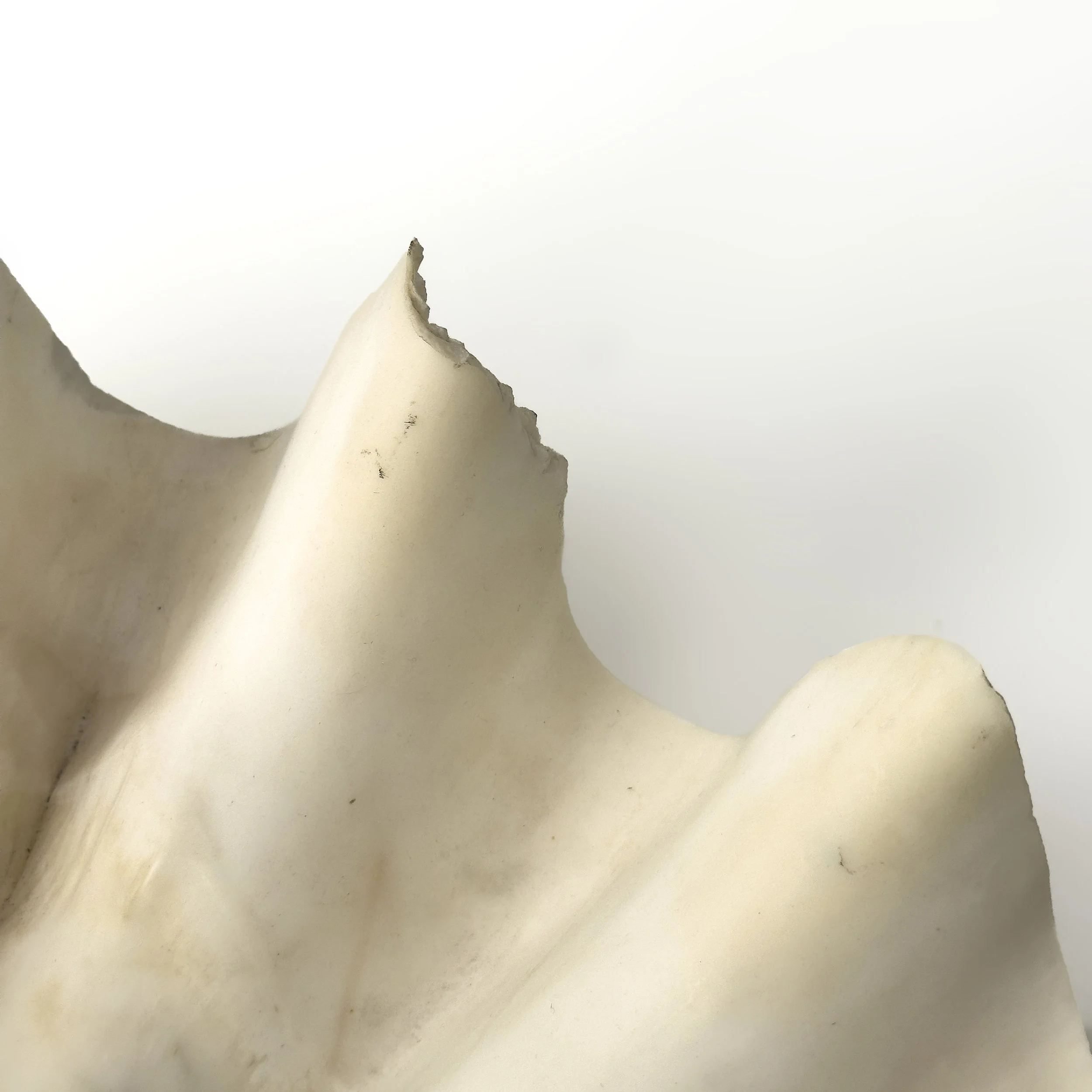 RUSSEL_HILL_0389.jpg