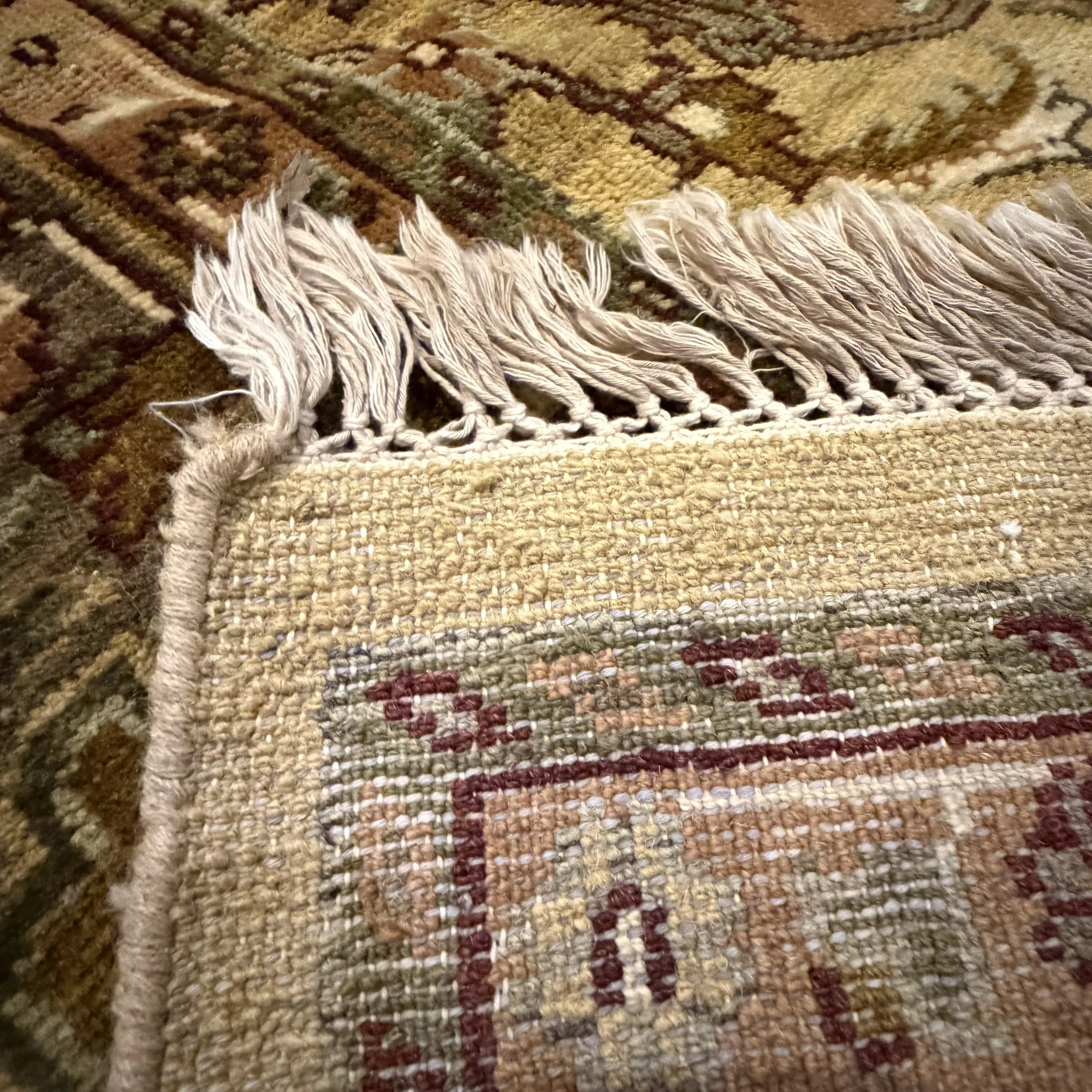 IMG_0303.jpeg