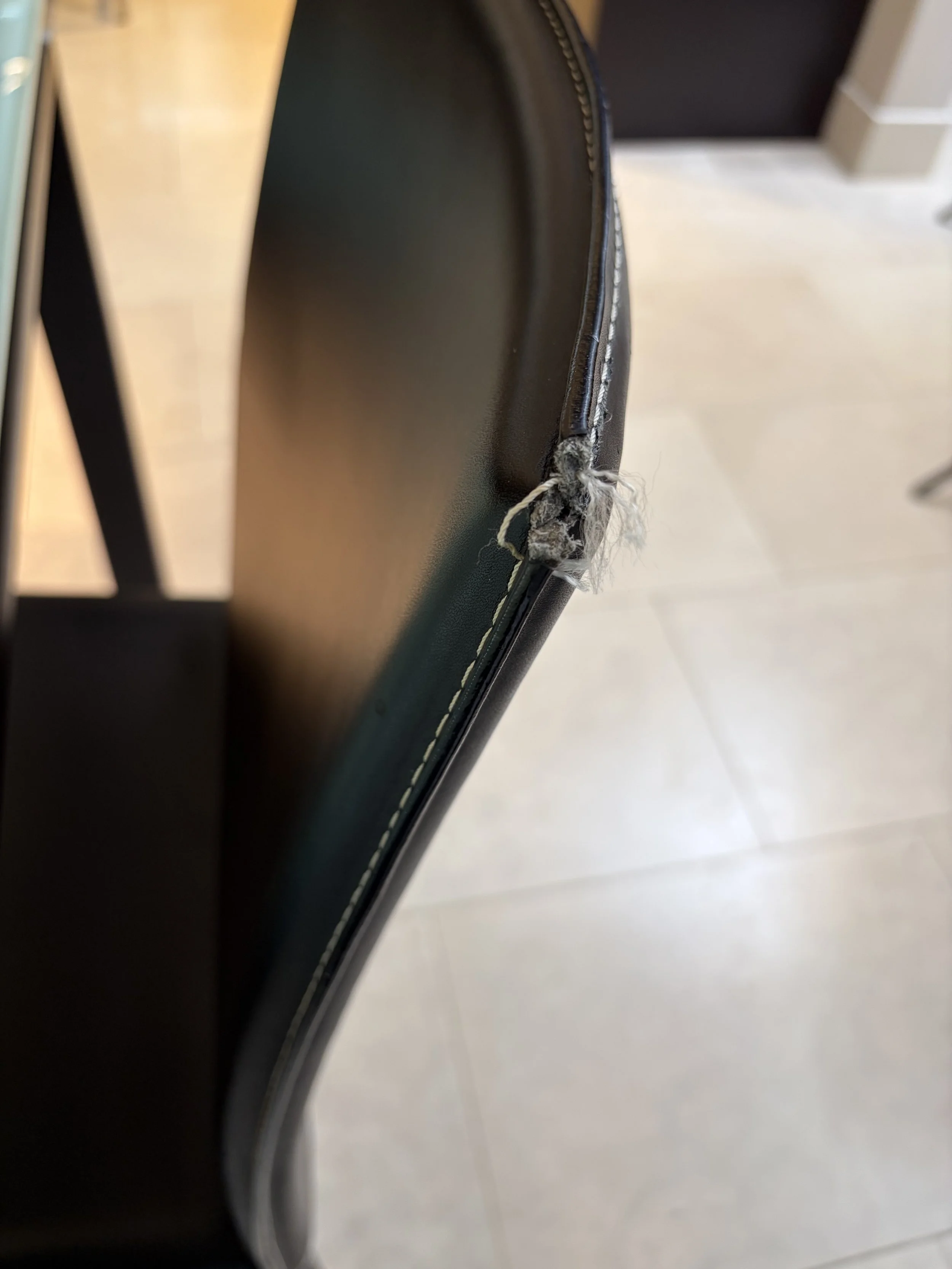 IMG_1424.jpeg