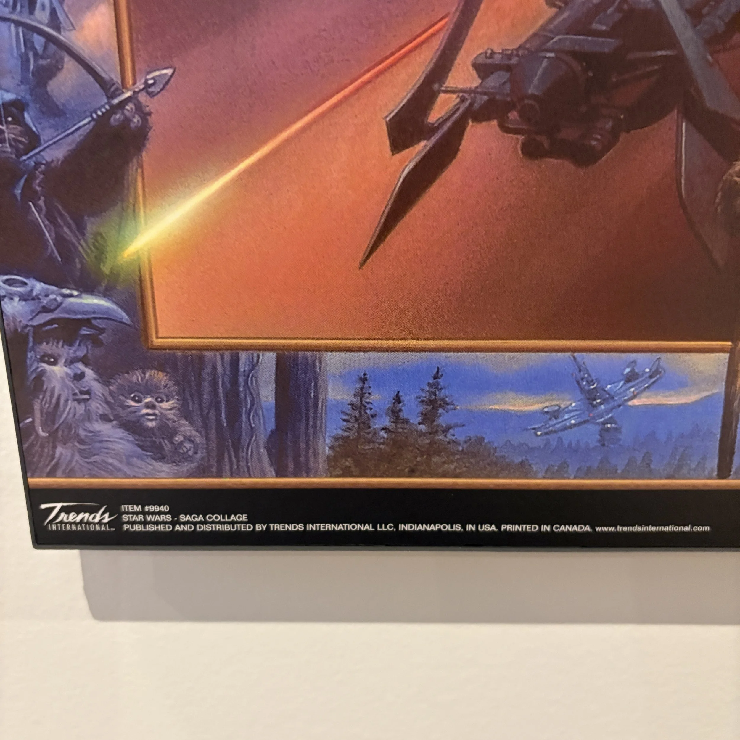 IMG_3135.jpeg