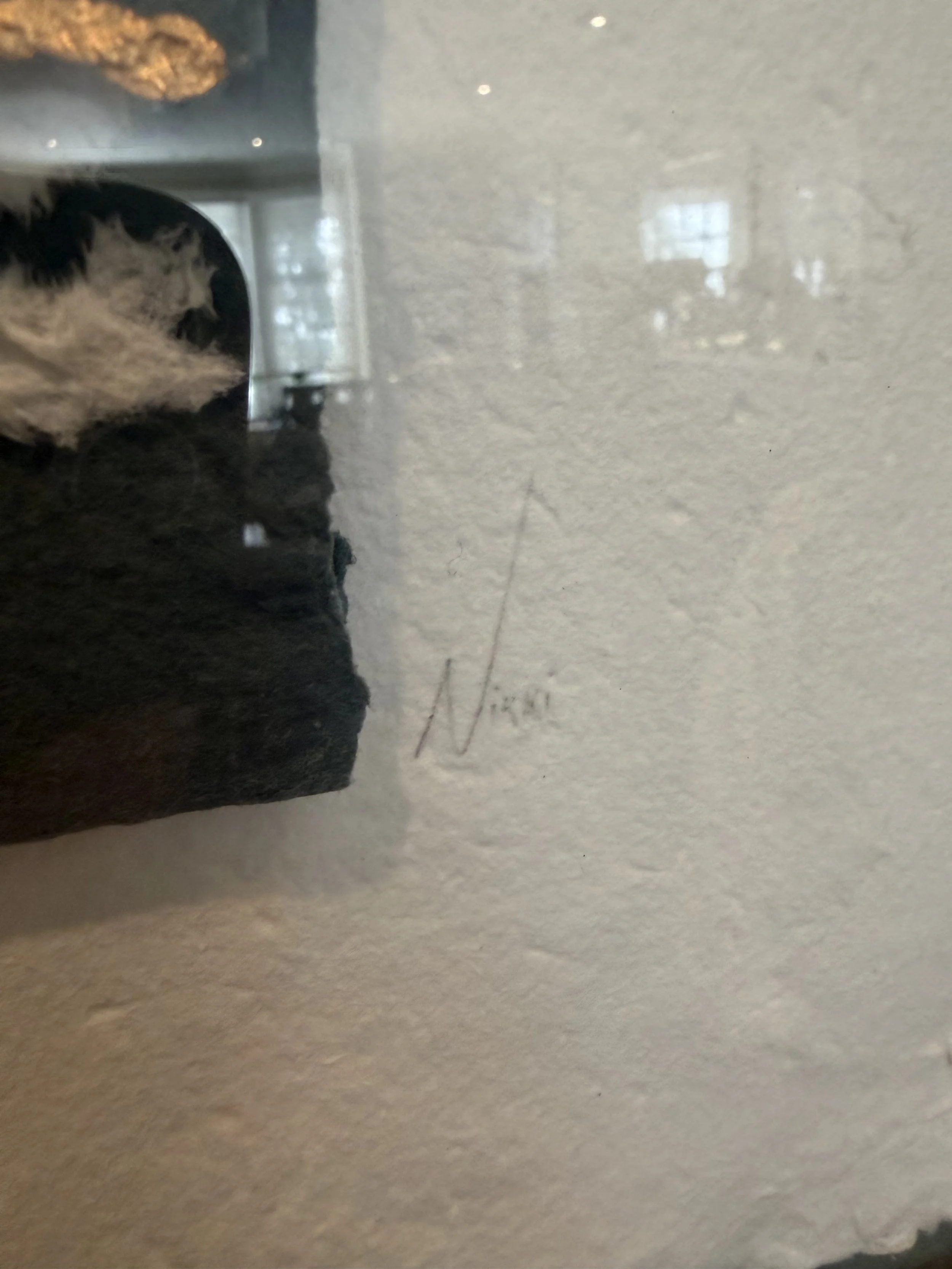 IMG_7884.jpeg