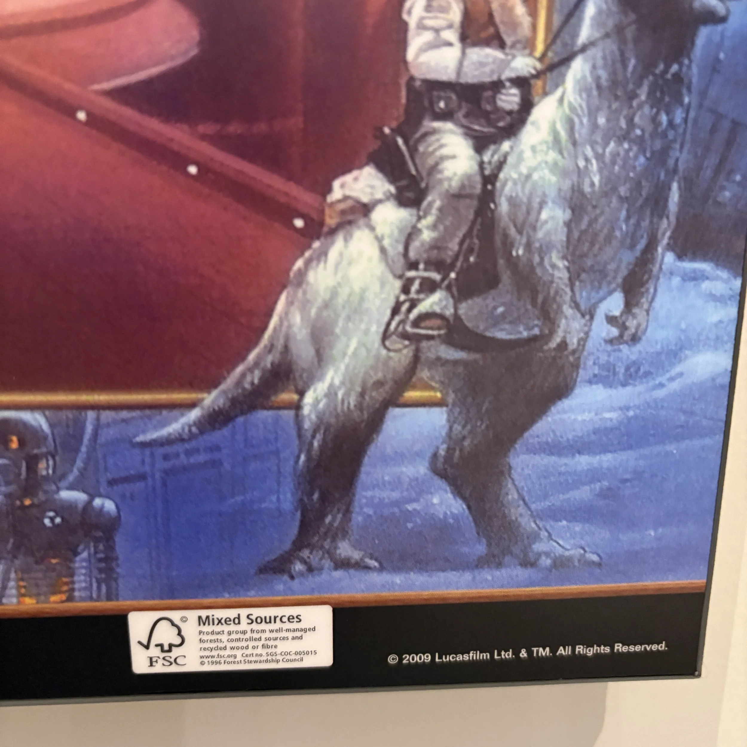 IMG_3136.jpeg
