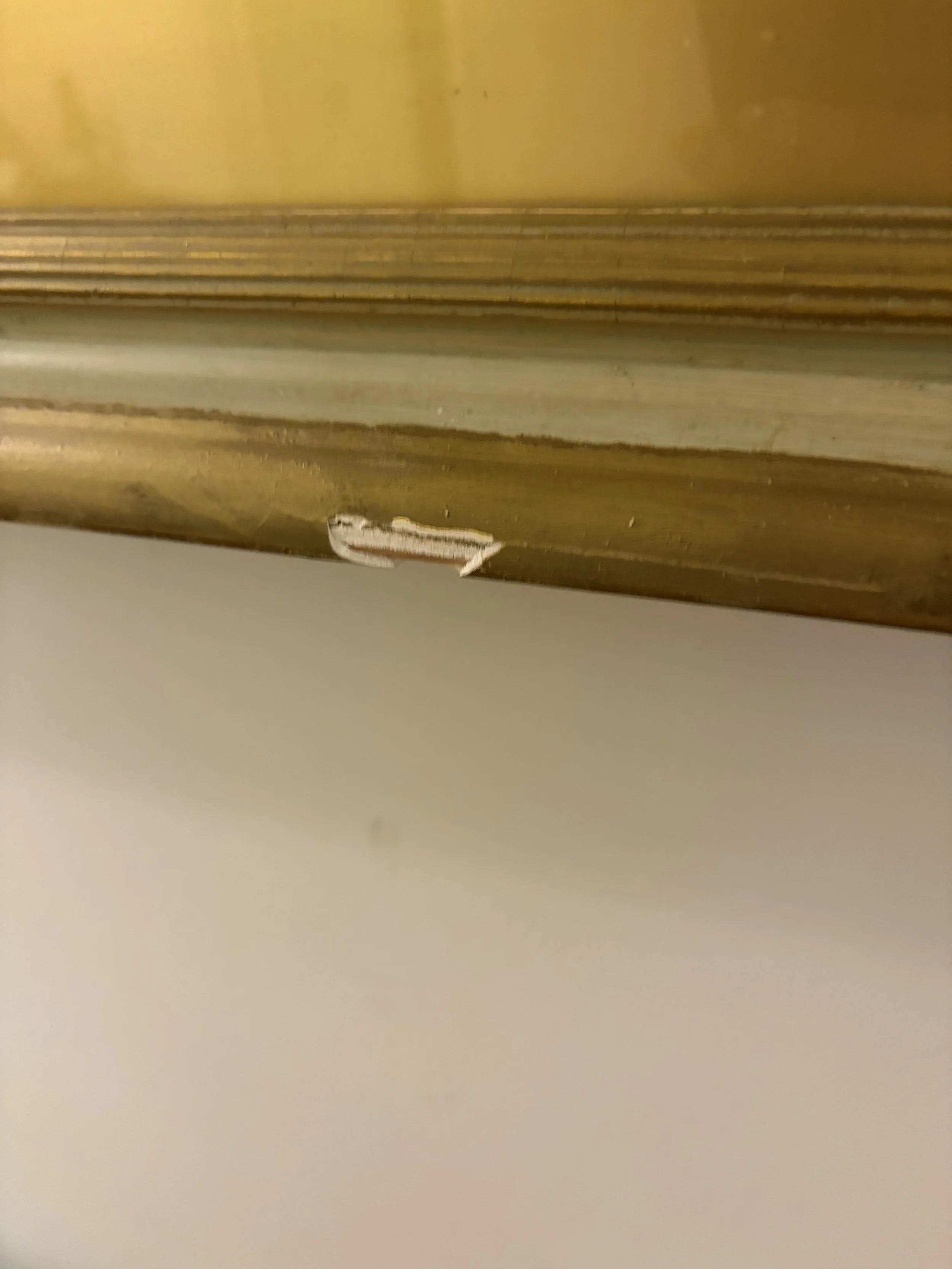 IMG_5279.jpeg