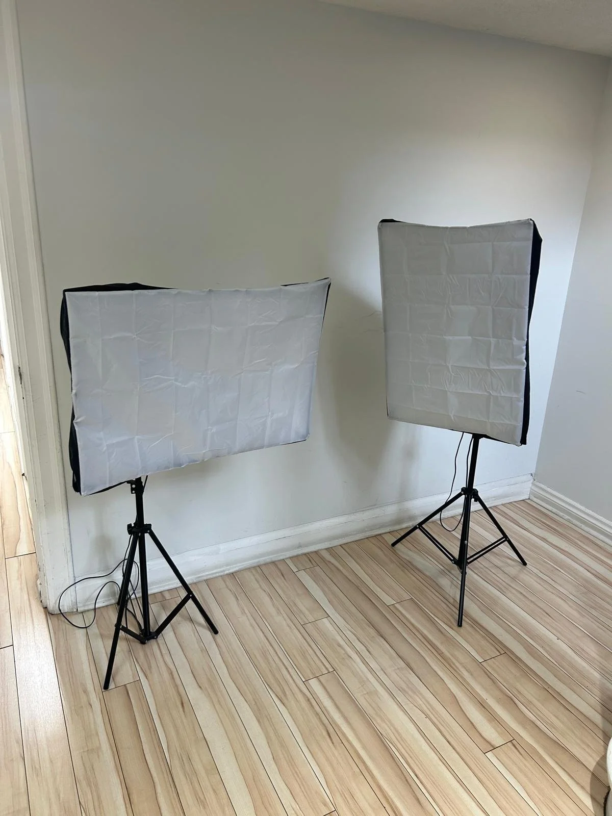Pair of Photography Lights