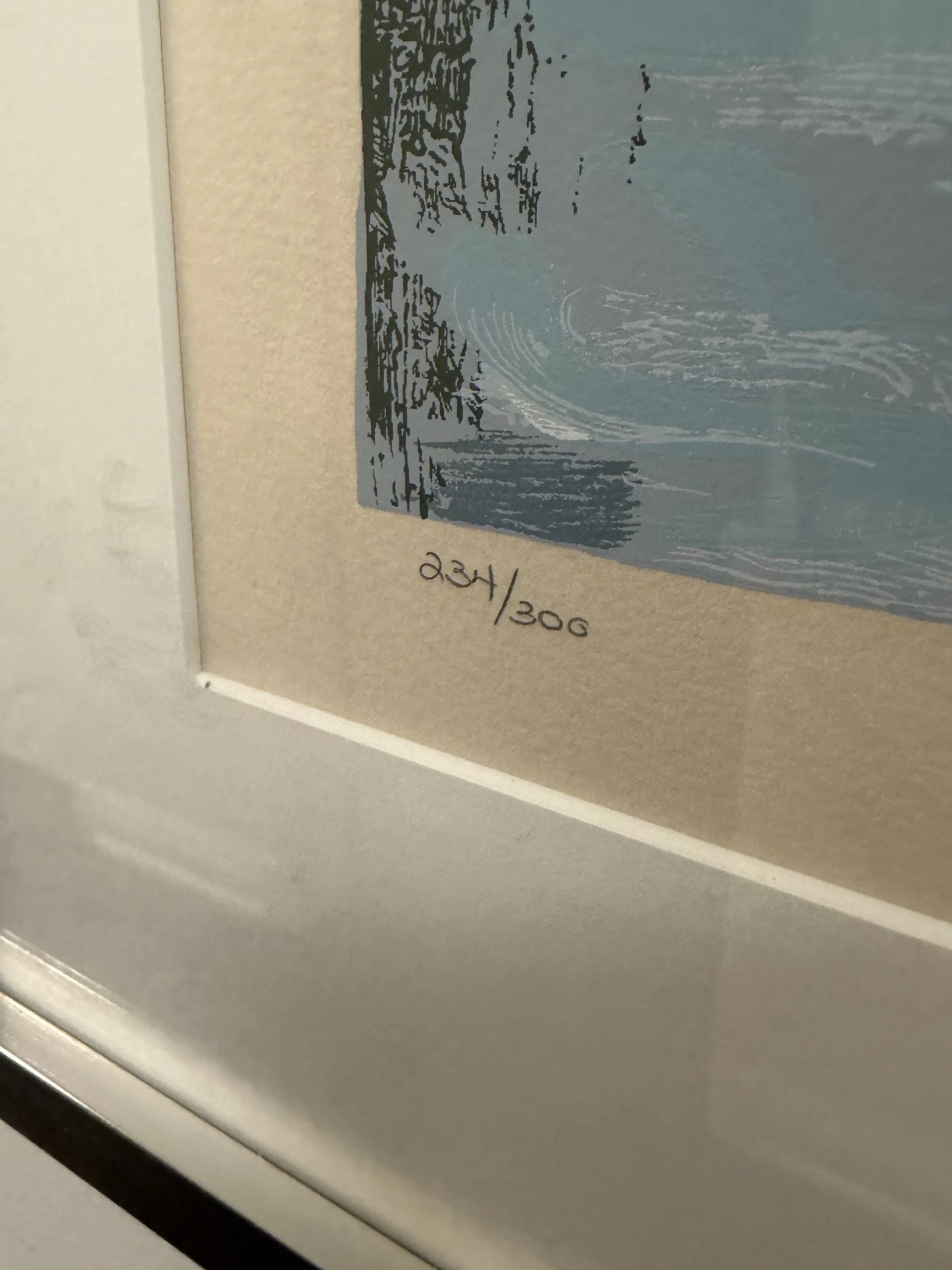 IMG_7169.jpeg