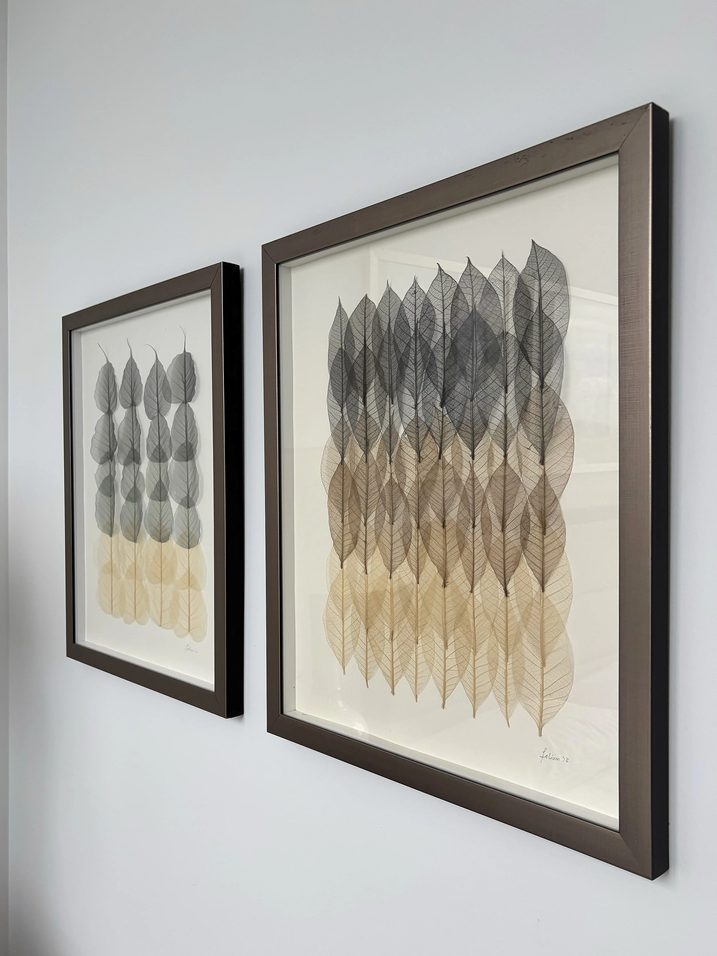 Pair of Decorative Leaf Prints