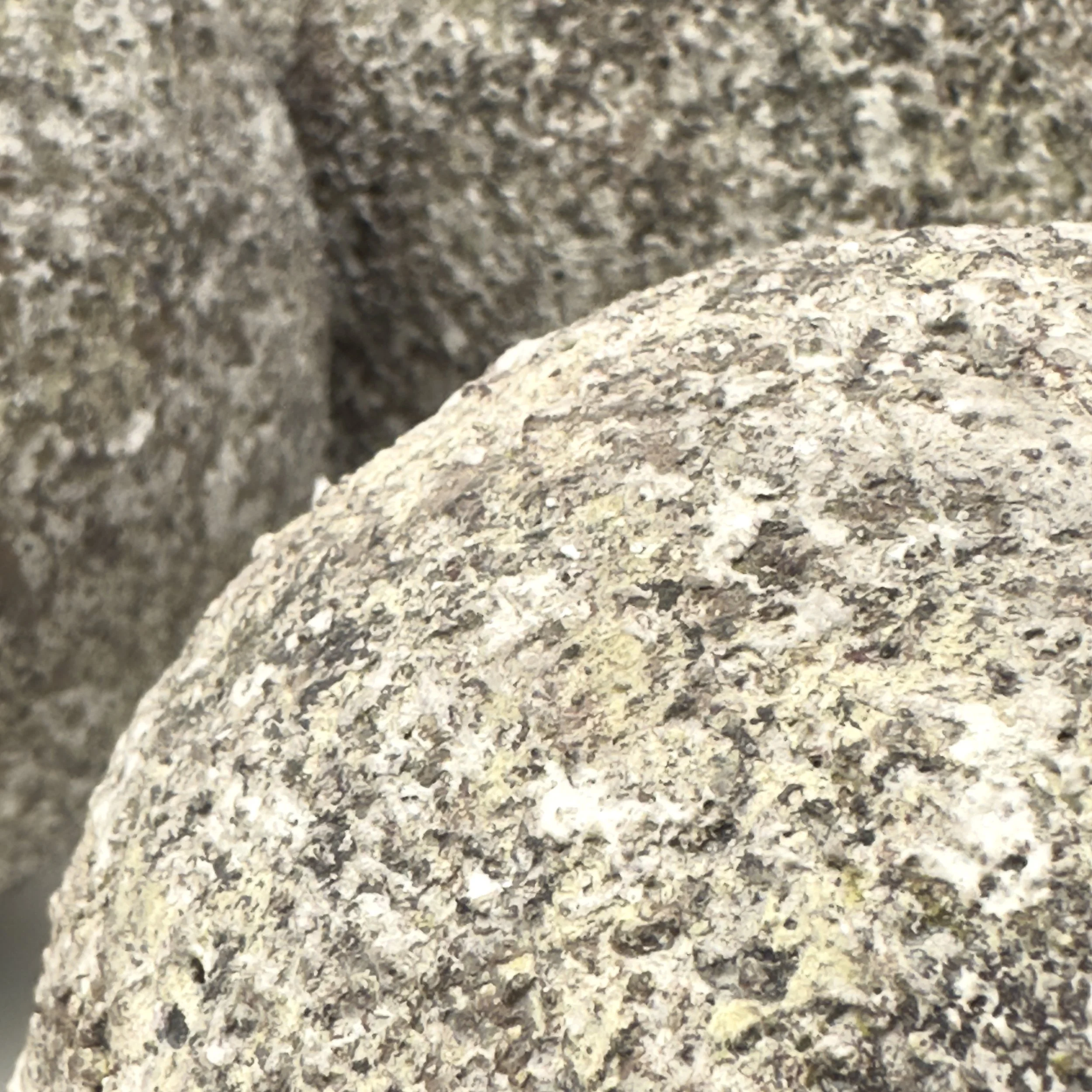 RUSSEL_HILL_0359.jpg