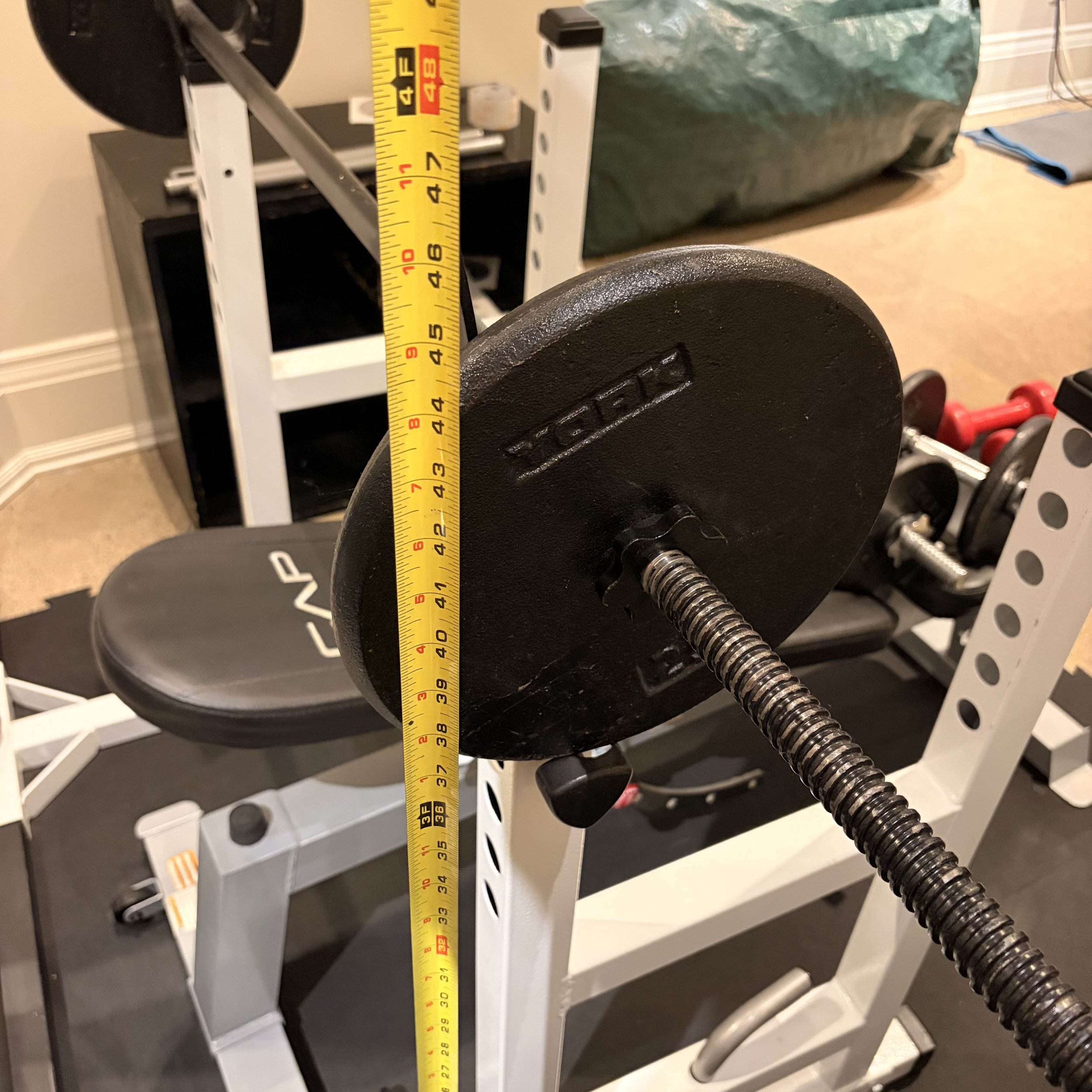 IMG_0383.jpeg