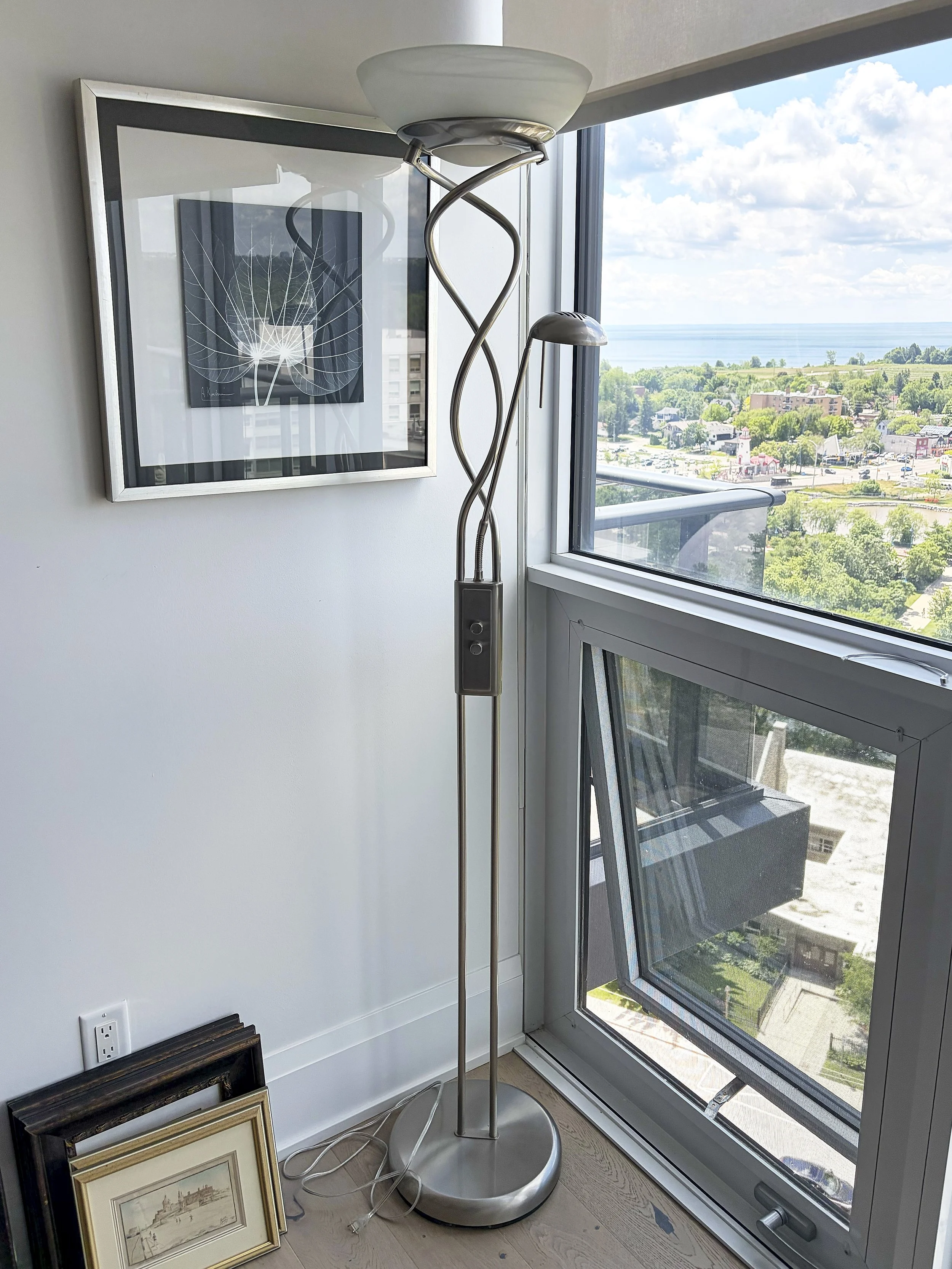 Silver Metal Floor Lamp & Houseplant