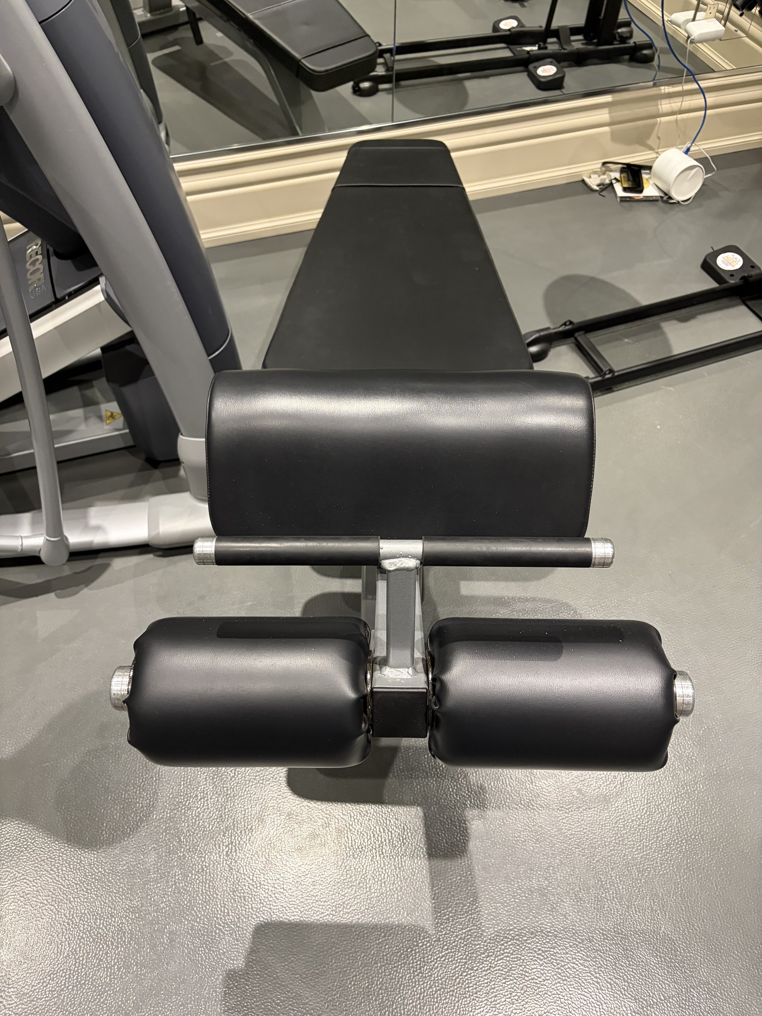 Precor Icarian Line