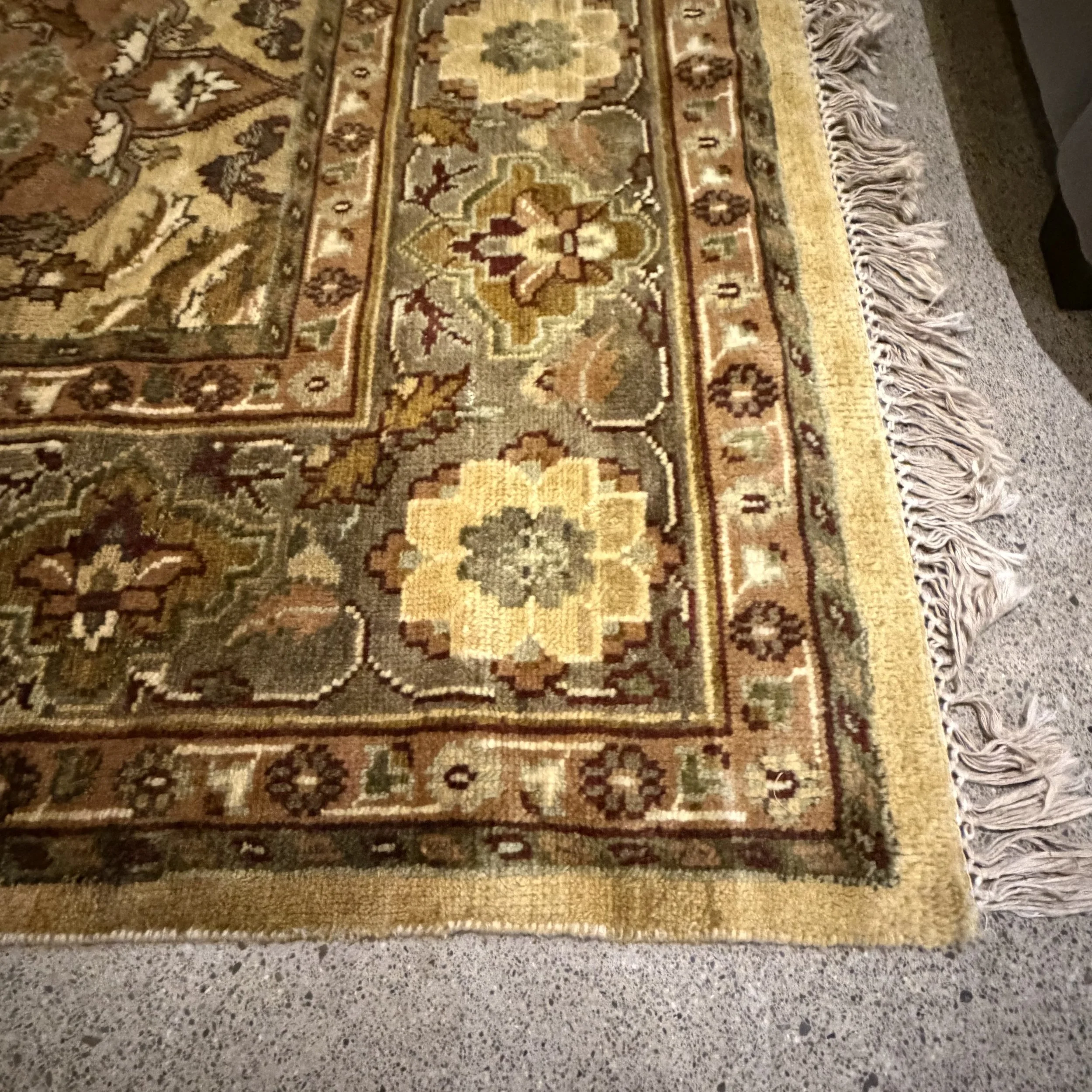 IMG_0302.jpeg