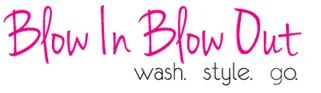 blowinblowout logo.jpg