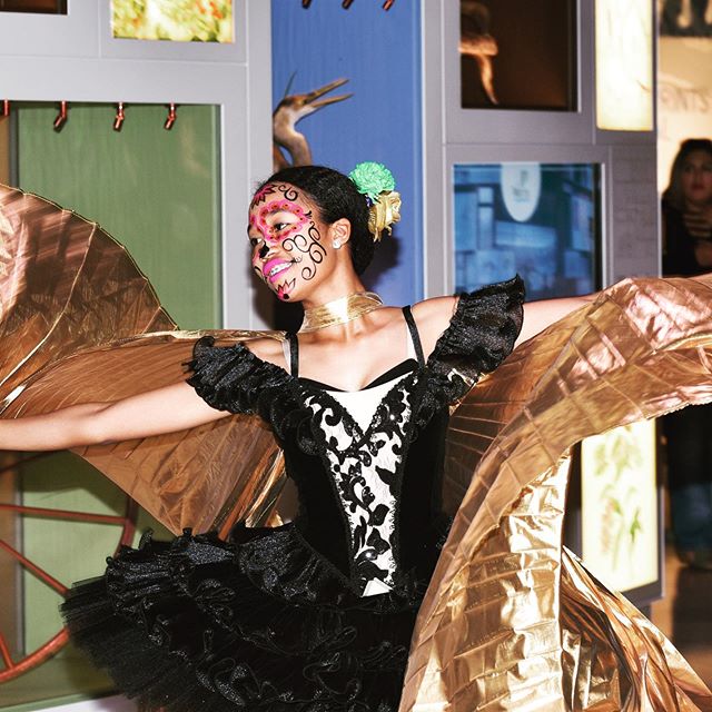 CBSA dancers are getting ready to perform in San Antonio’s Day of the Dead Festival this weekend November 1 second and third! Don’t miss your chance to catch these amazing young artists at La Villita!
#childrensballetsa #childrensballetof