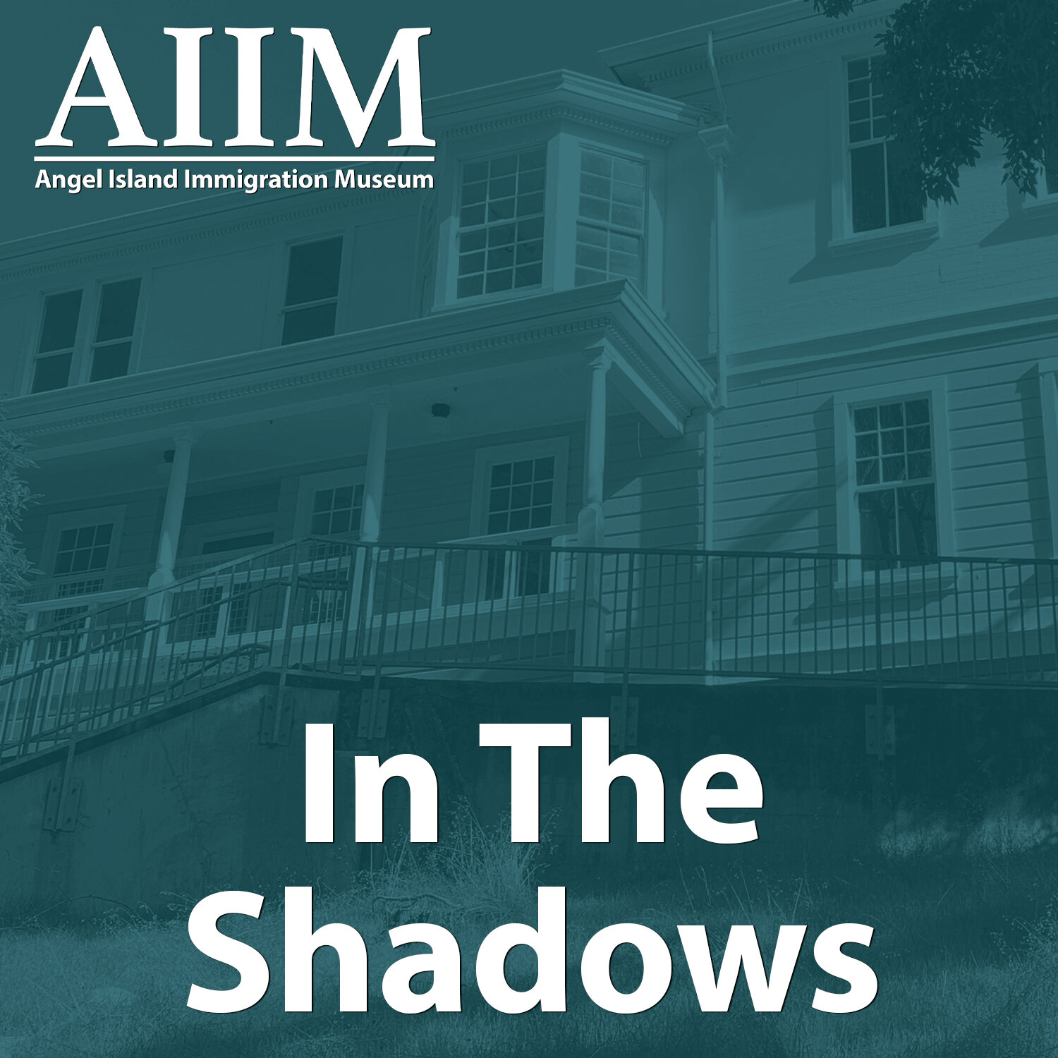 AIIM Button - Shadows.jpg