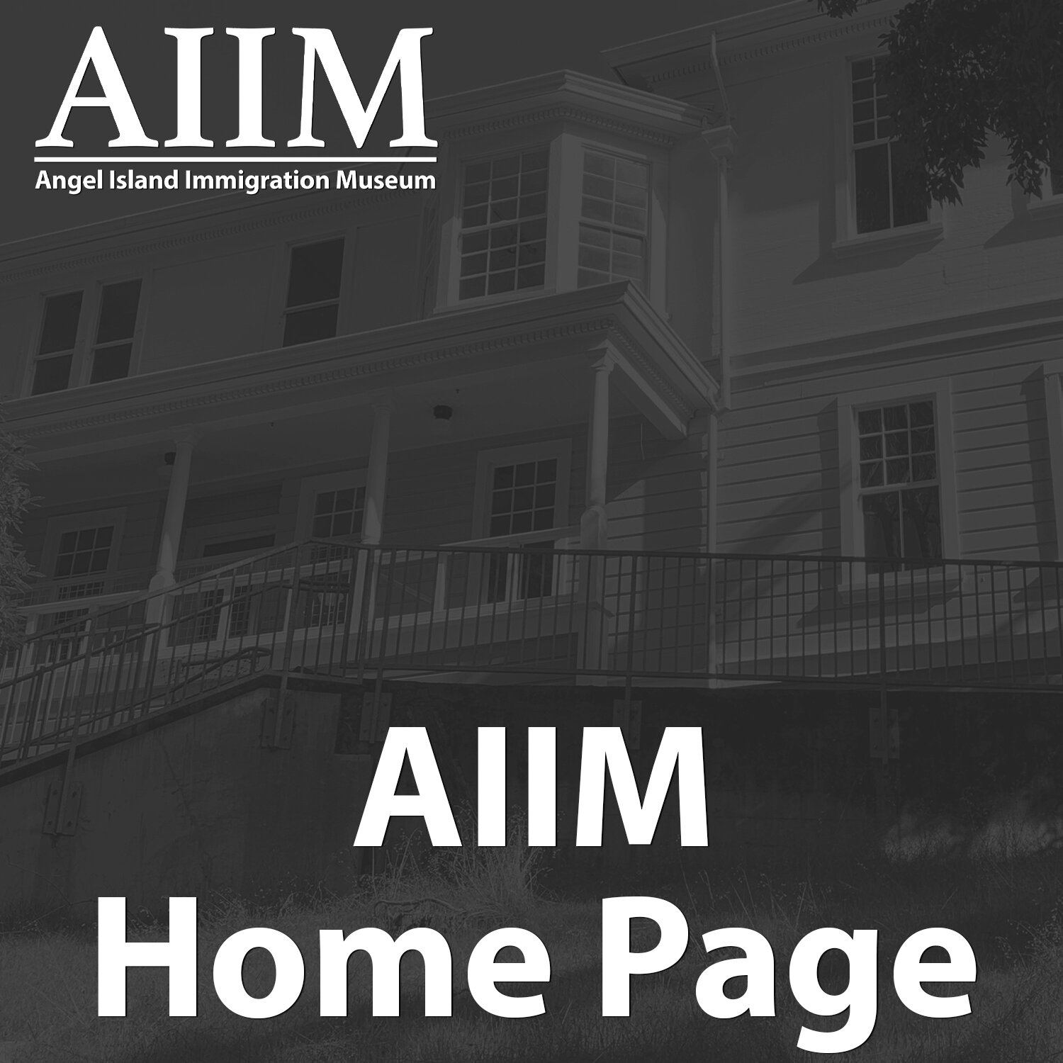 AIIM Button - Home.jpg