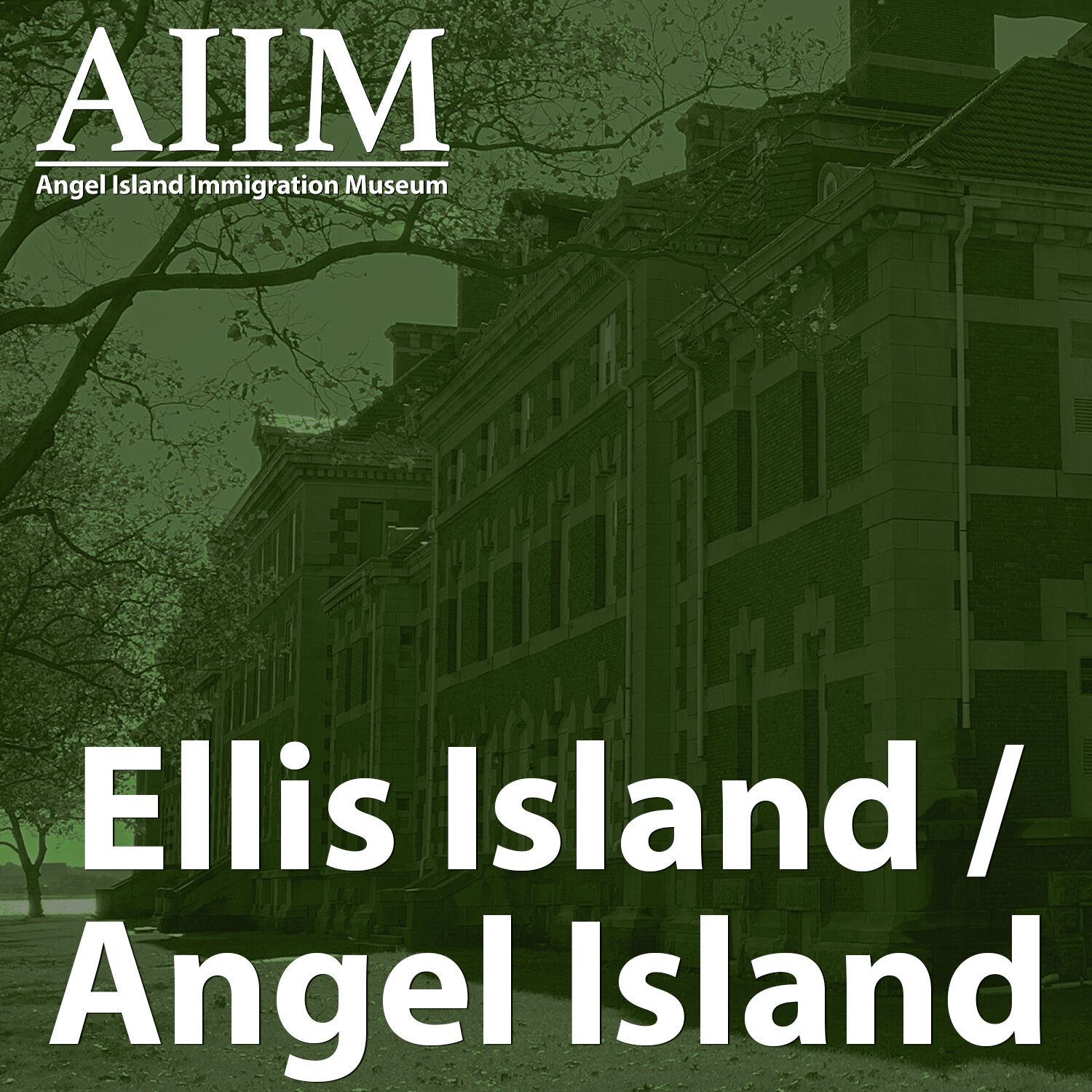AIIM Ellis Island Button.jpg