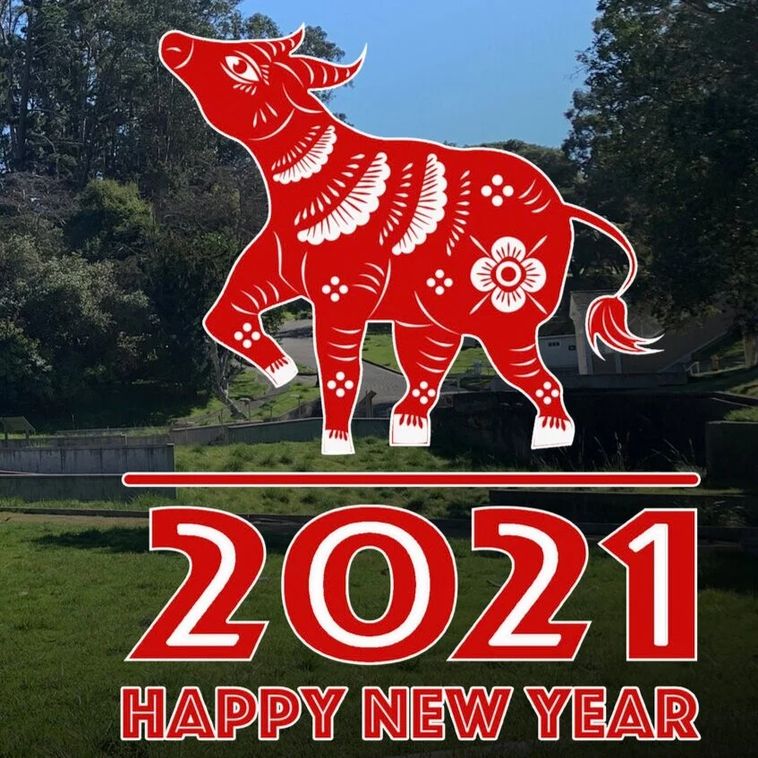 AIISF Newsletter / February 2021