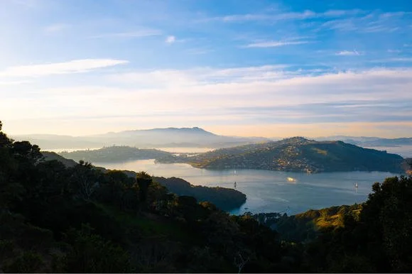 The Forgotten Californian Ellis Island (The Lady of the World Press)