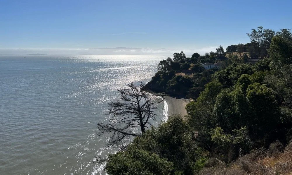 AIISF Newsletter / July 2022