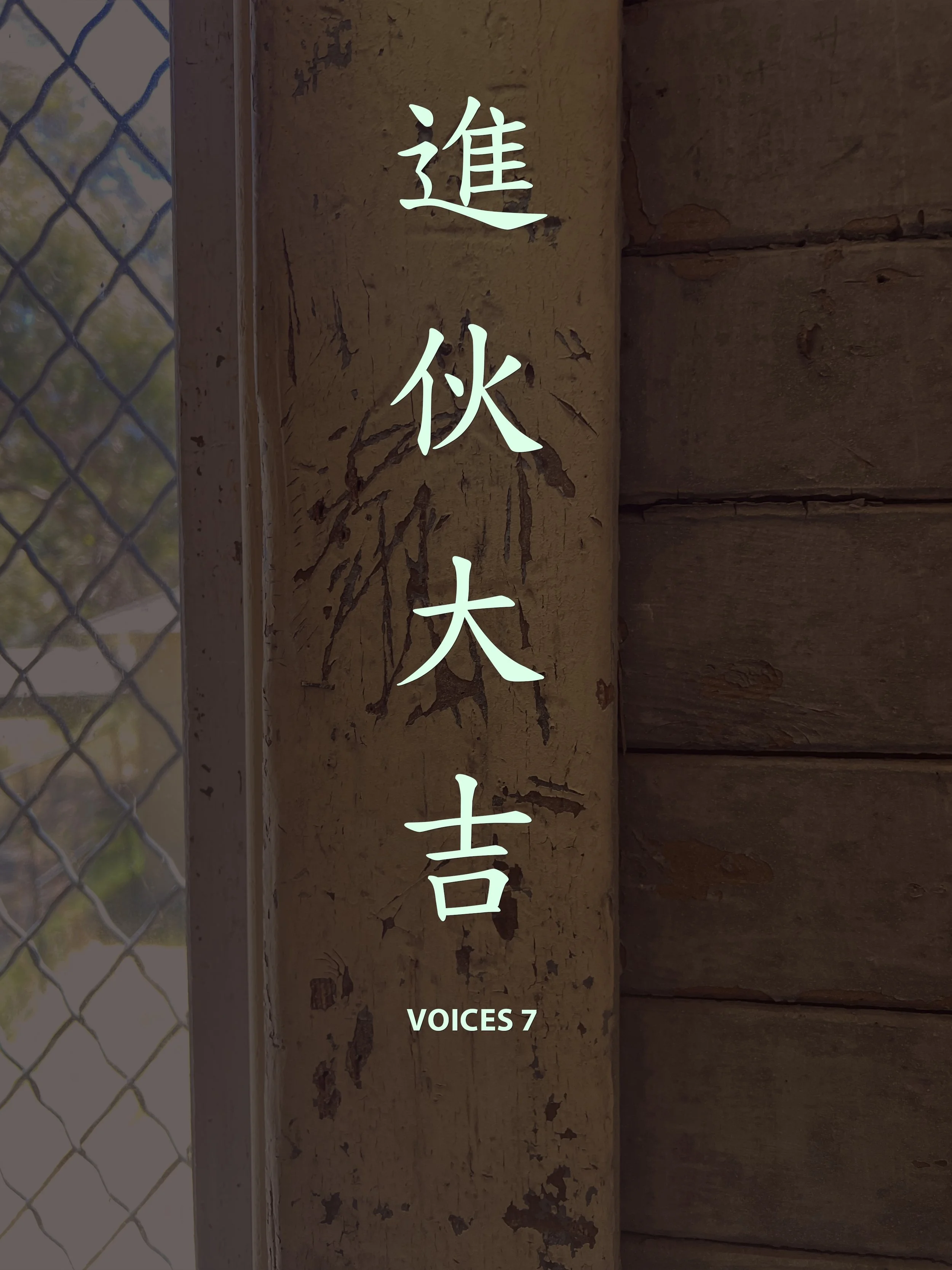 Voices 7
