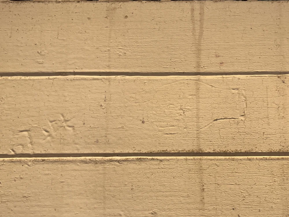 Pointing Hand / 105-N-4