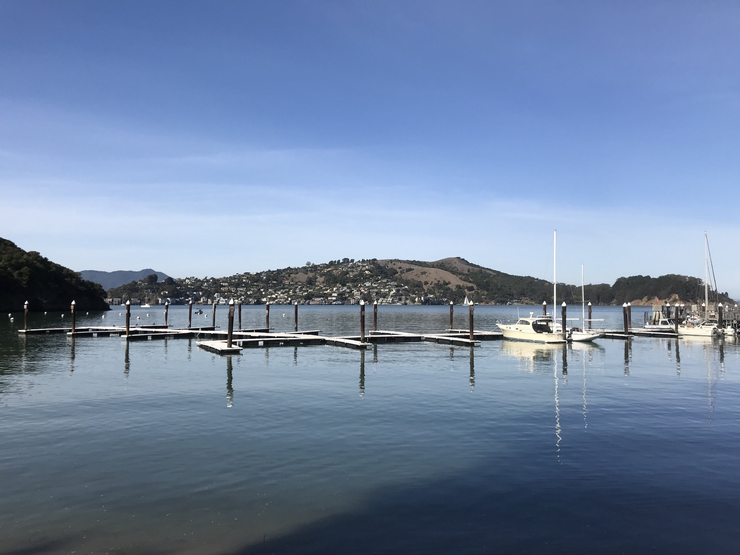 AIISF Newsletter / November 2025