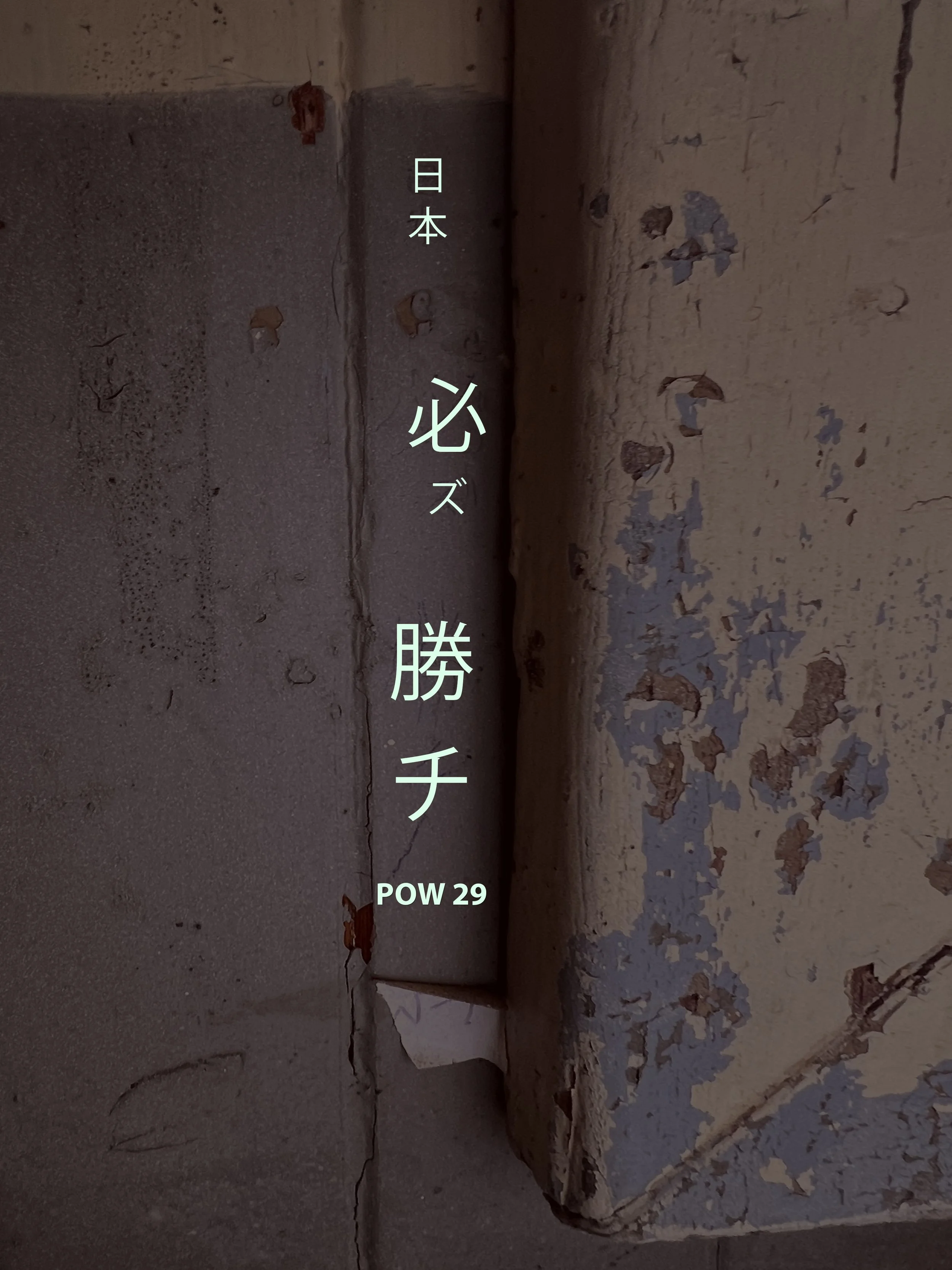 POW 29