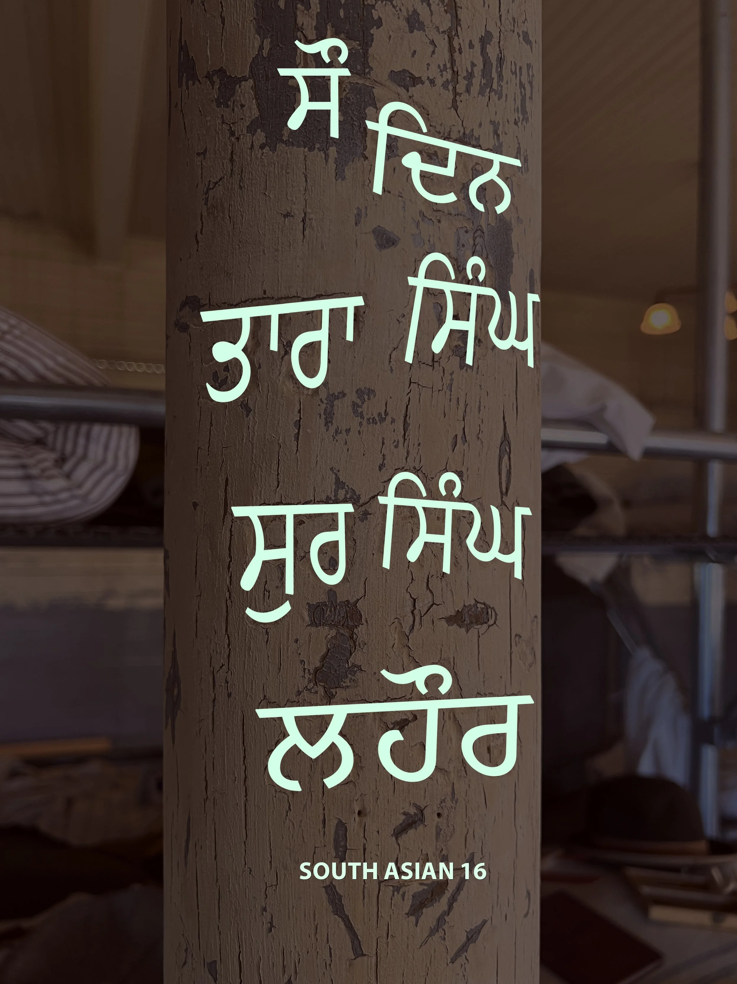 South Asian 16