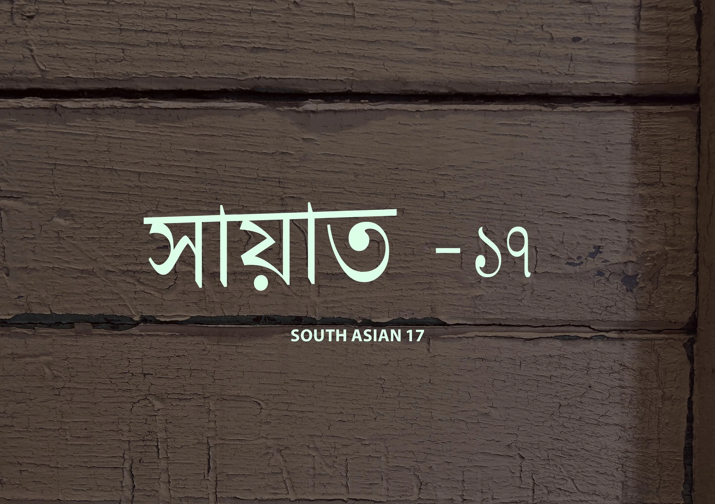 South Asian 17