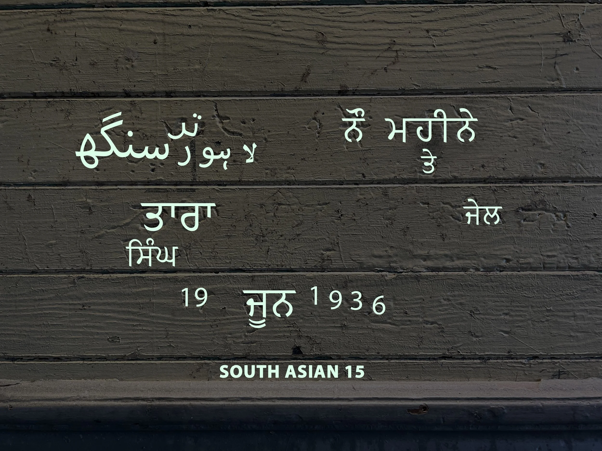South Asian 15