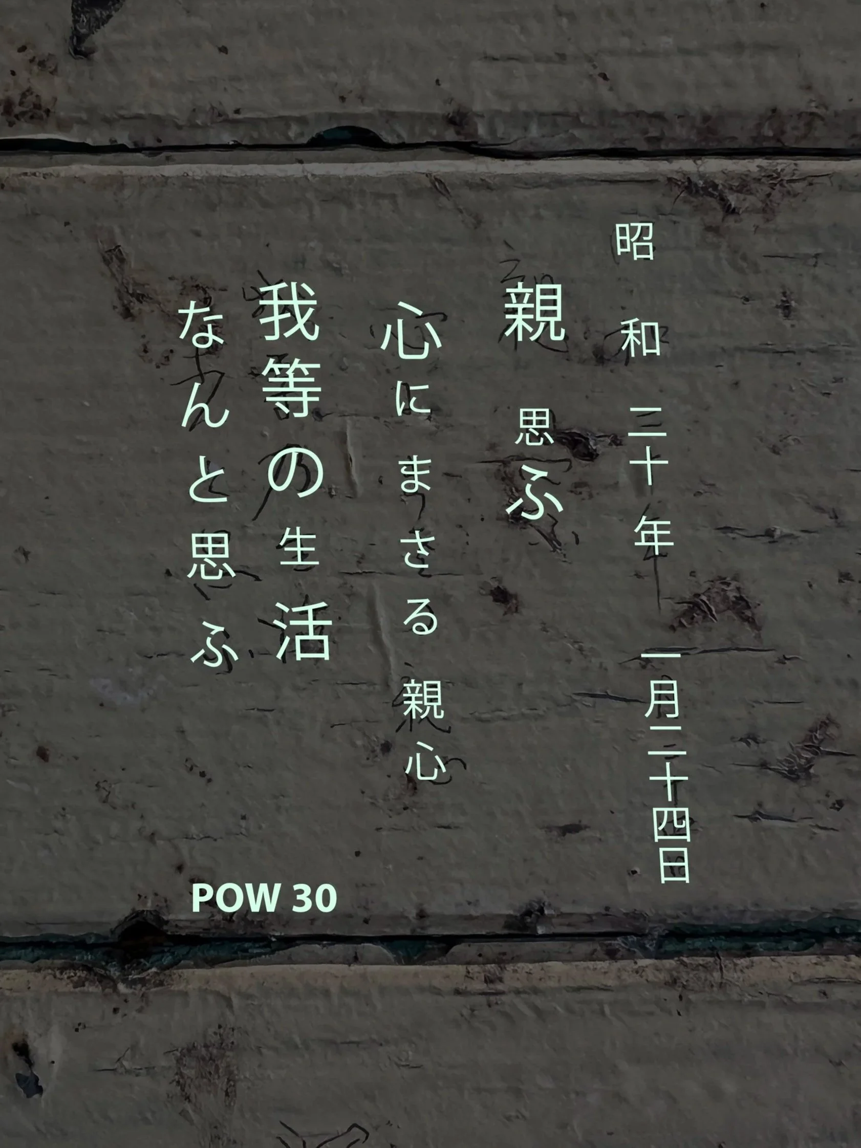 POW 30