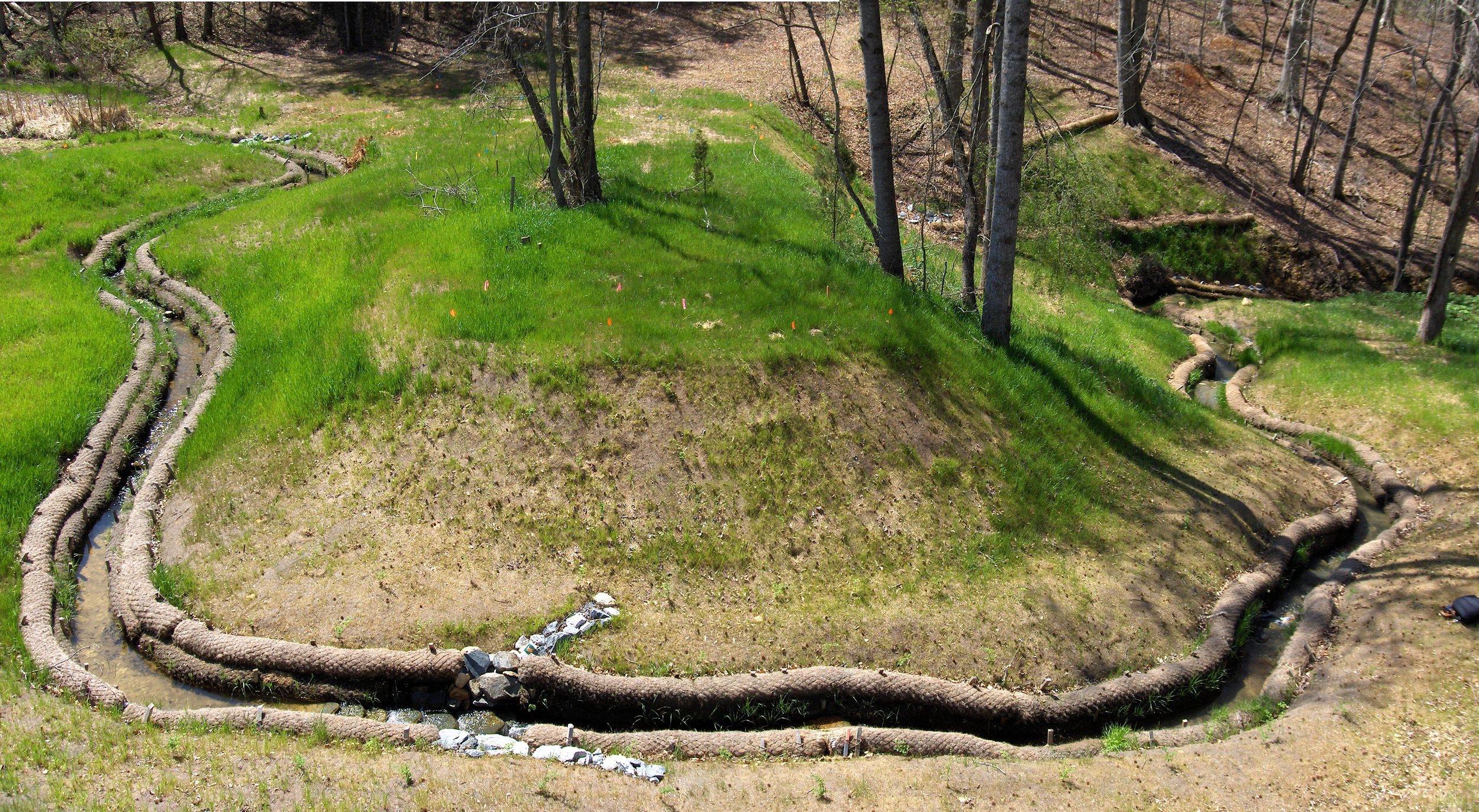 3 Dam outfall stream restoration.jpg